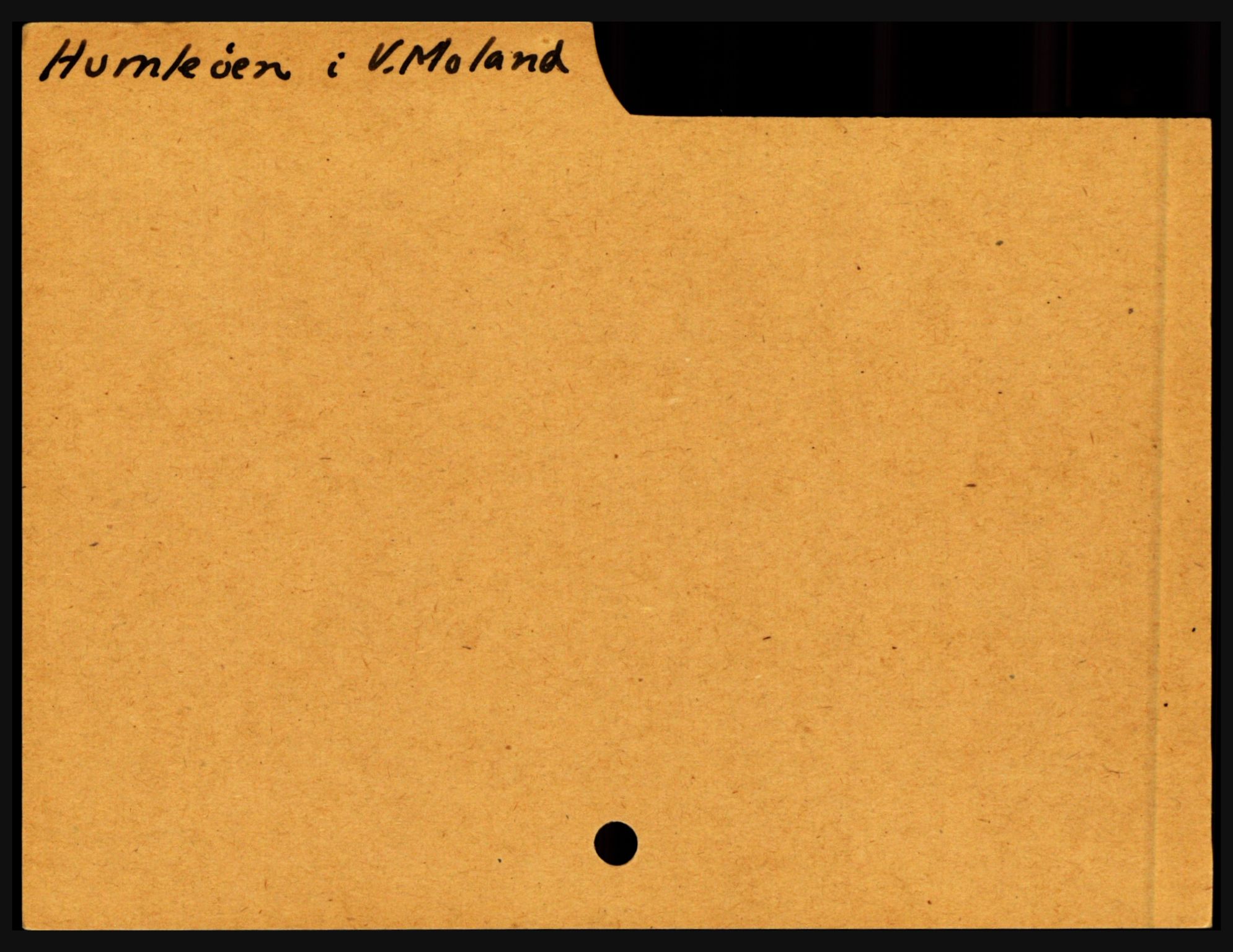 Nedenes sorenskriveri før 1824, SAK/1221-0007/H, p. 13265