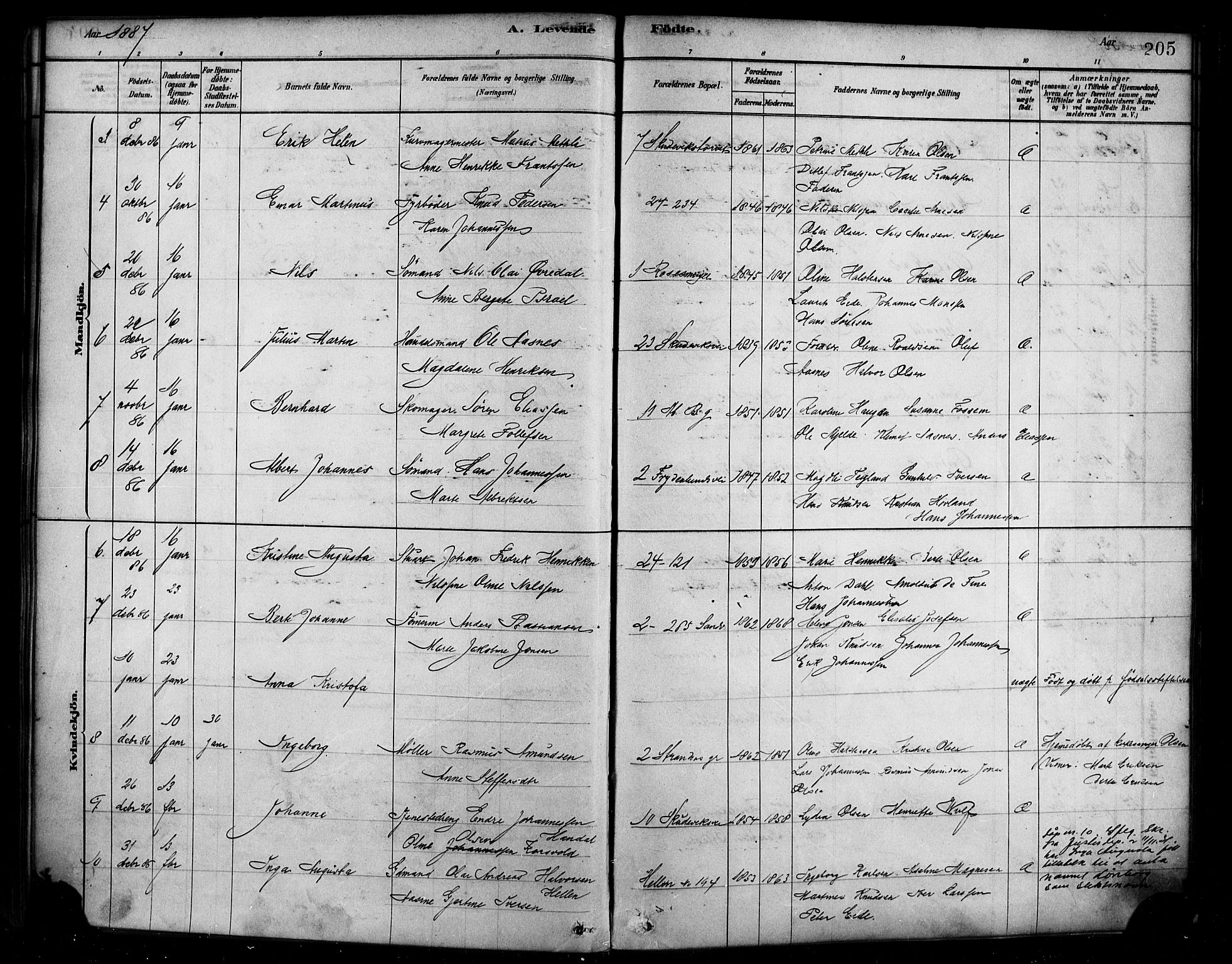 Sandviken Sokneprestembete, AV/SAB-A-77601/H/Ha/L0004: Parish register (official) no. B 1, 1878-1891, p. 205