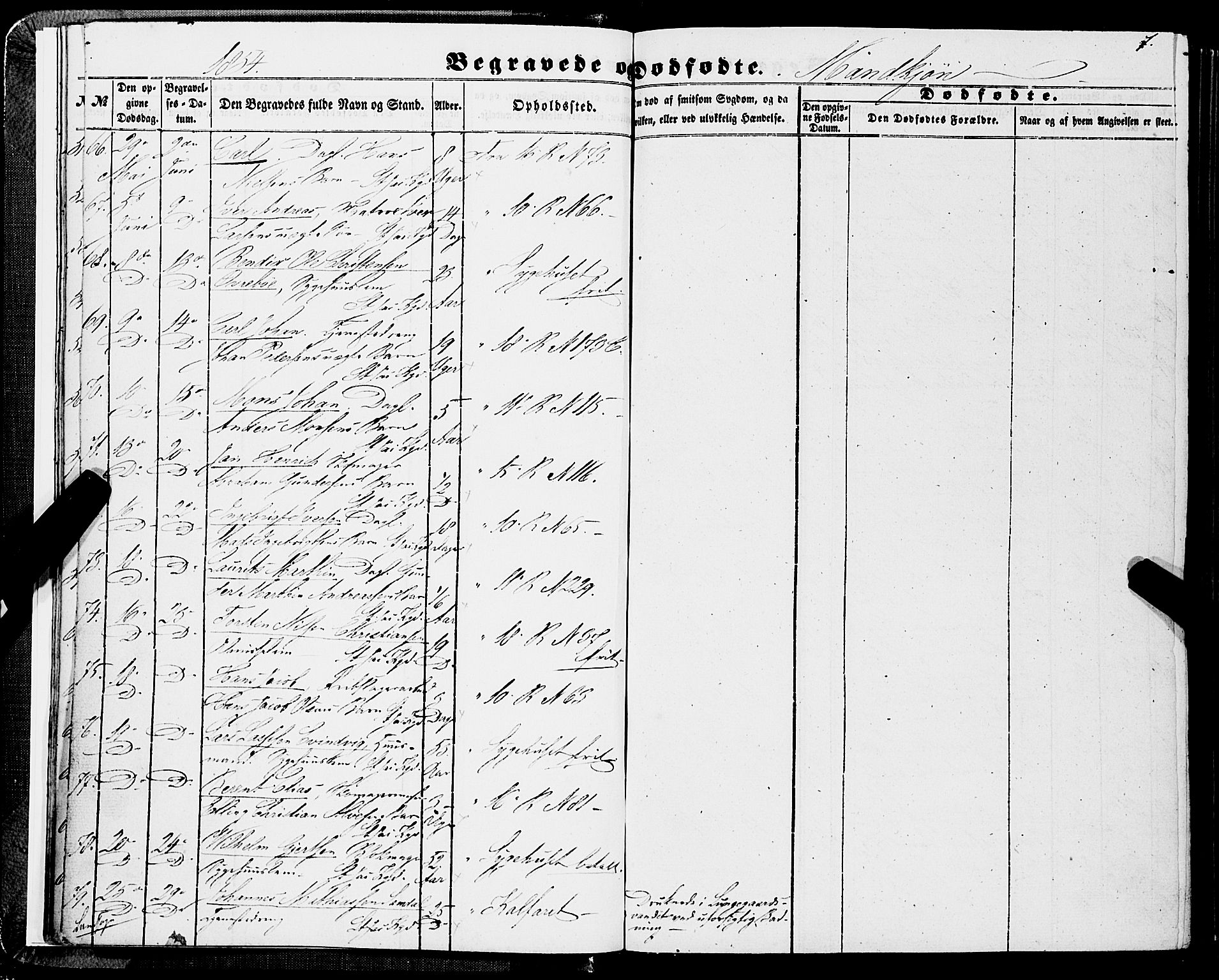 Domkirken sokneprestembete, AV/SAB-A-74801/H/Haa/L0041: Parish register (official) no. E 2, 1853-1863, p. 7