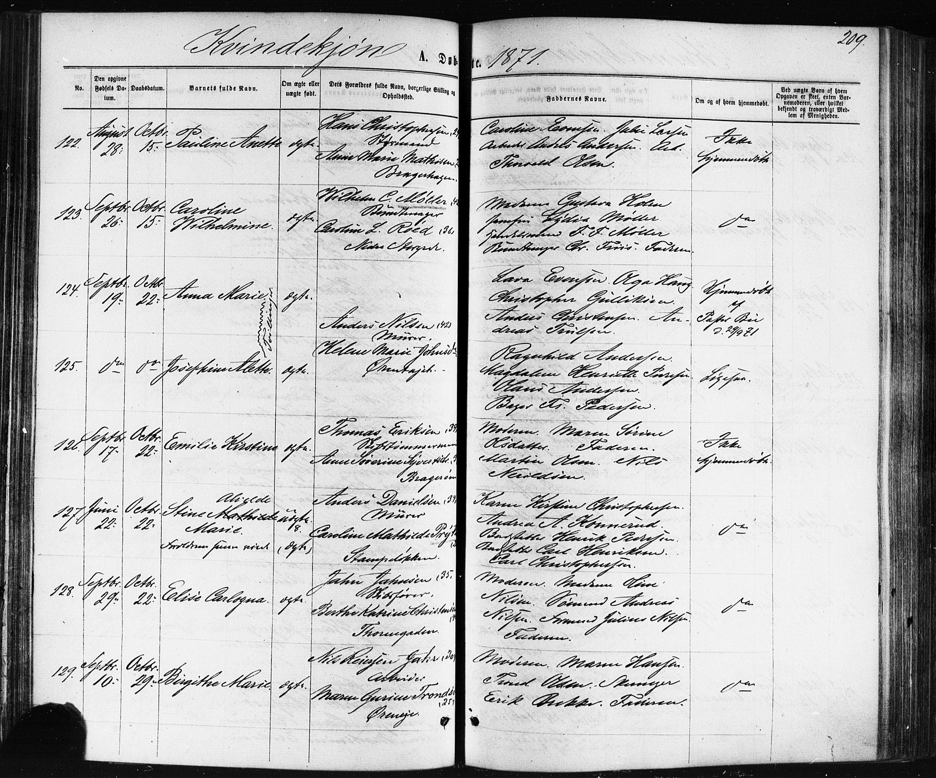 Bragernes kirkebøker, SAKO/A-6/F/Fb/L0004: Parish register (official) no. II 4, 1869-1875, p. 209