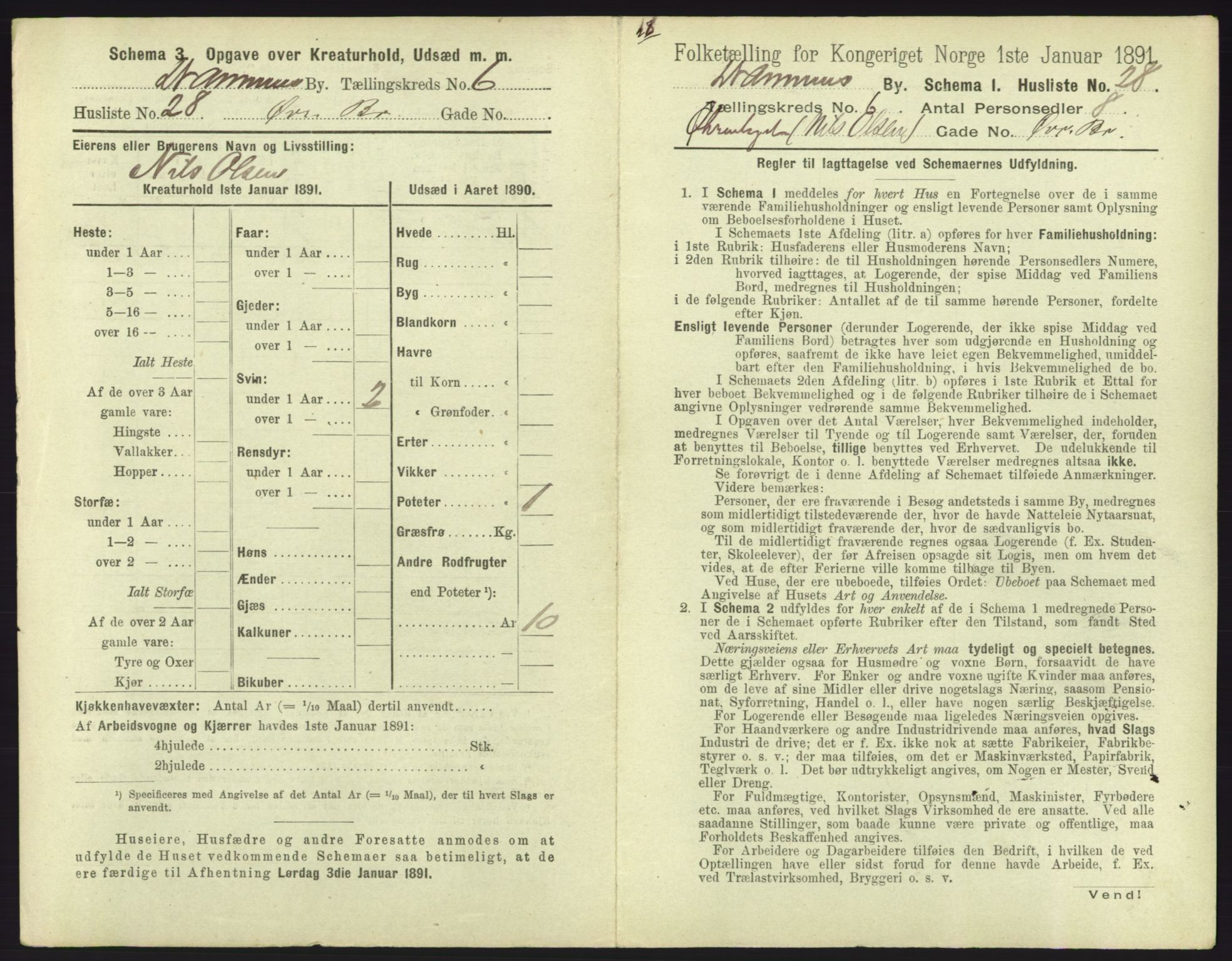 RA, 1891 census for 0602 Drammen, 1891, p. 575