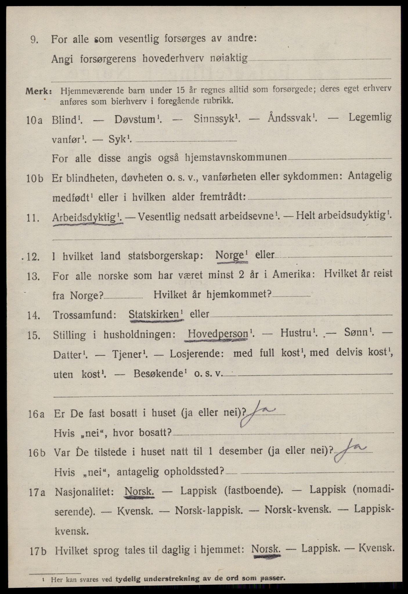 SAT, 1920 census for Selbu, 1920, p. 6509