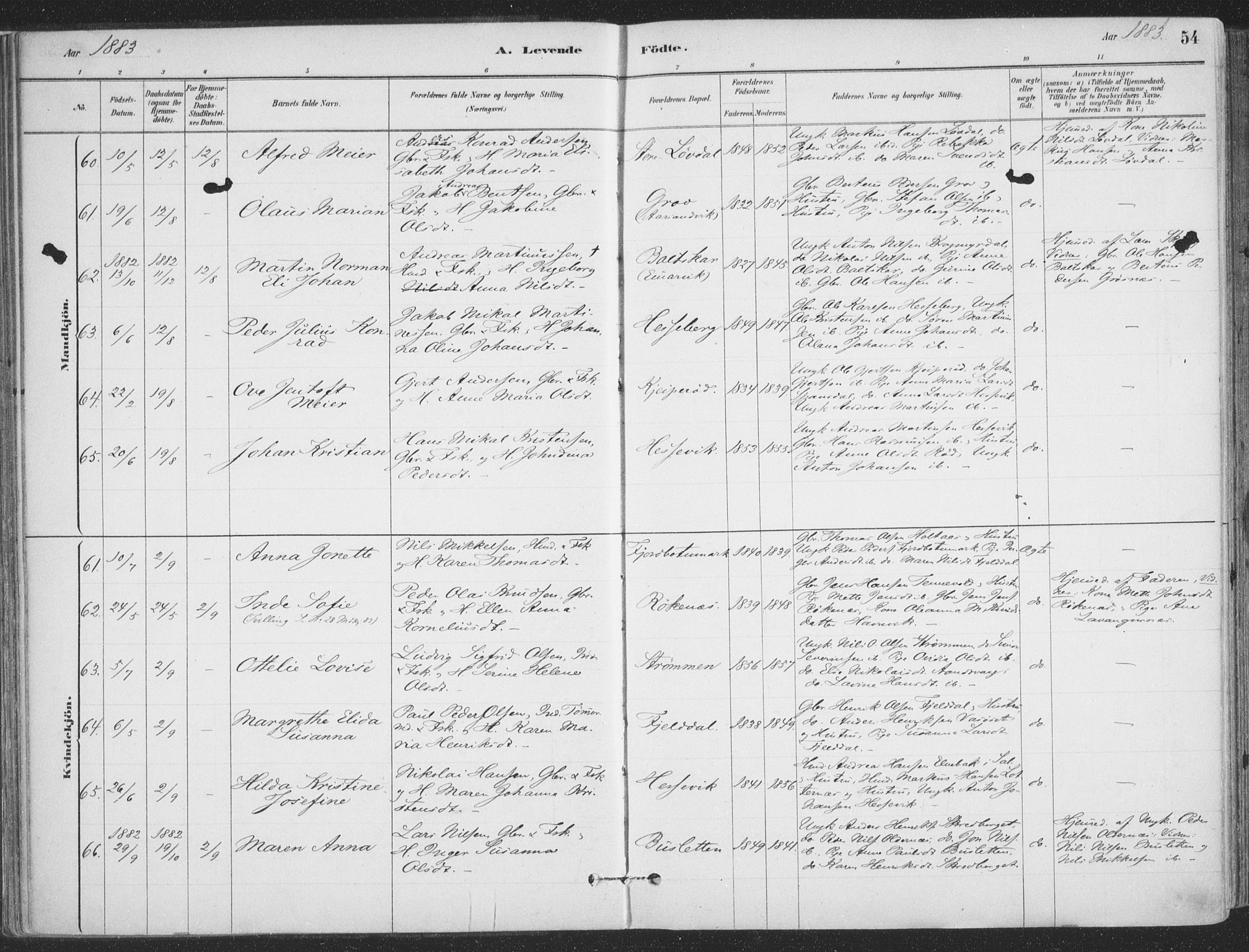 Ibestad sokneprestembete, AV/SATØ-S-0077/H/Ha/Haa/L0011kirke: Parish register (official) no. 11, 1880-1889, p. 54