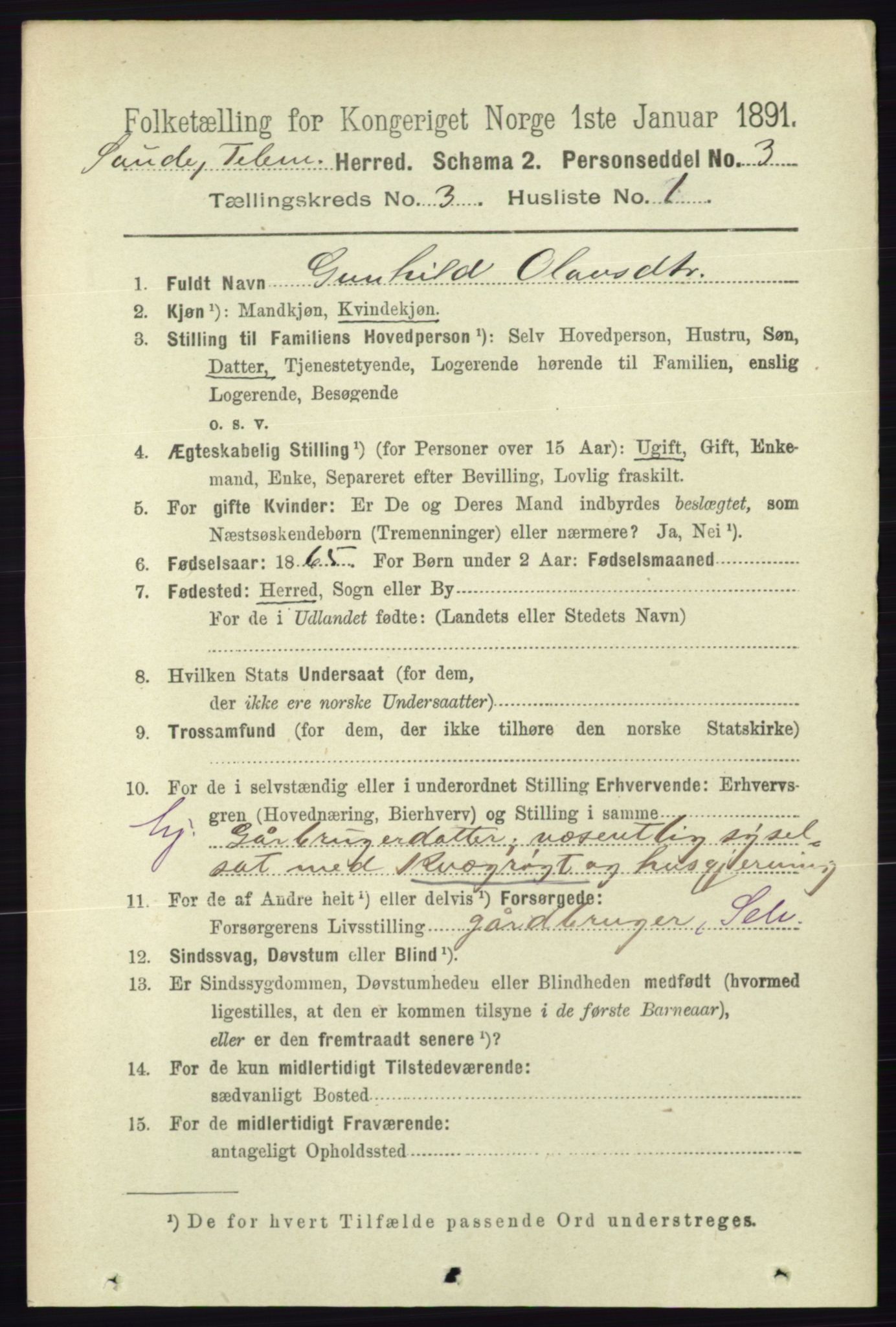 RA, 1891 census for 0822 Sauherad, 1891, p. 733