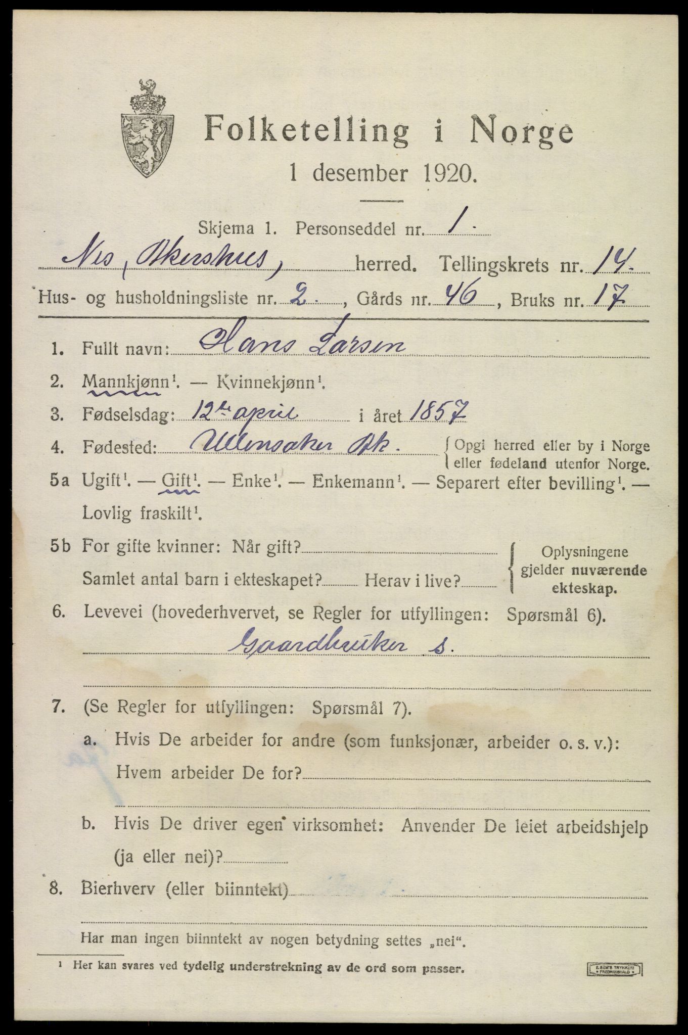 SAO, 1920 census for Nes, 1920, p. 13956