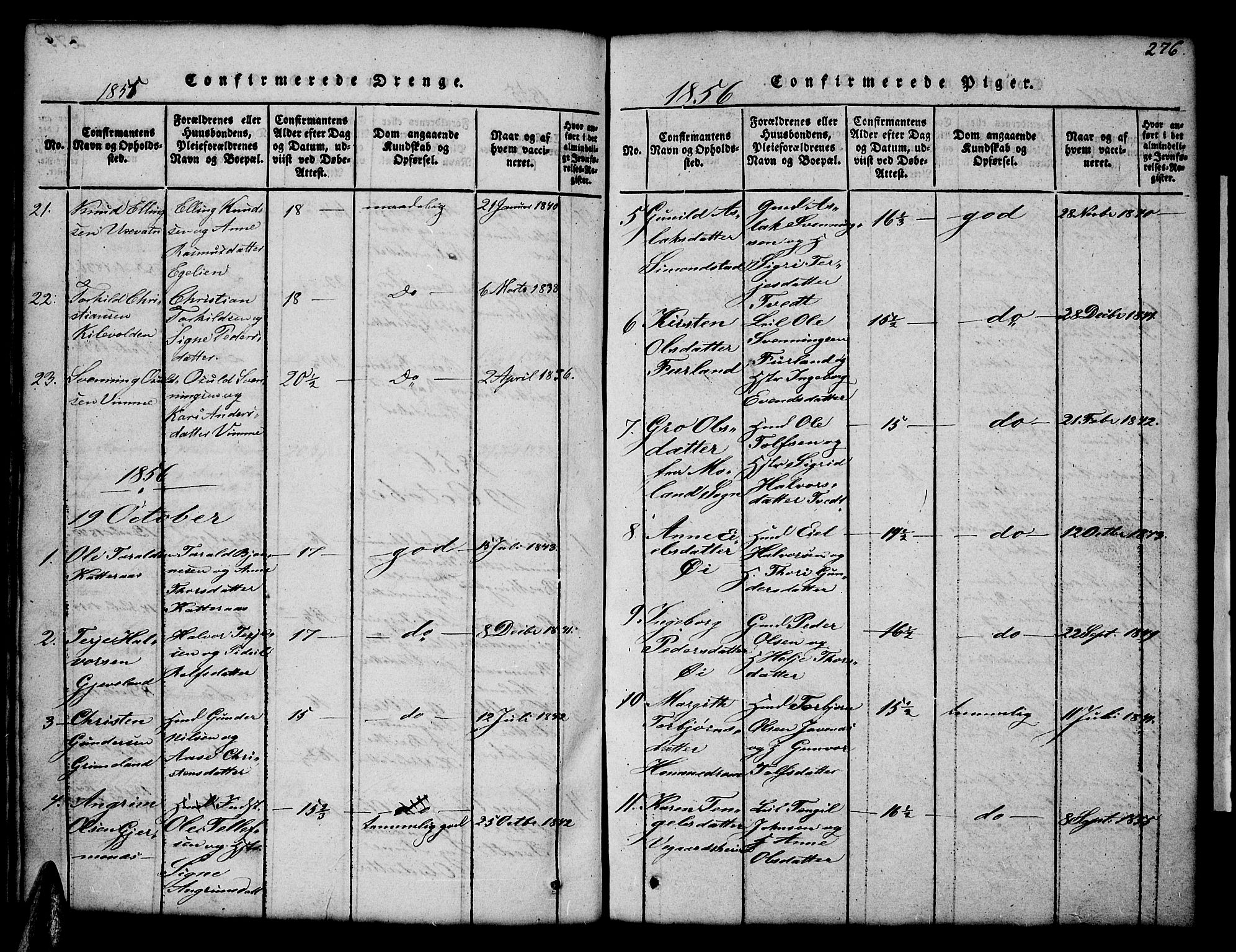 Åmli sokneprestkontor, SAK/1111-0050/F/Fb/Fbc/L0001: Parish register (copy) no. B 1, 1816-1867, p. 276
