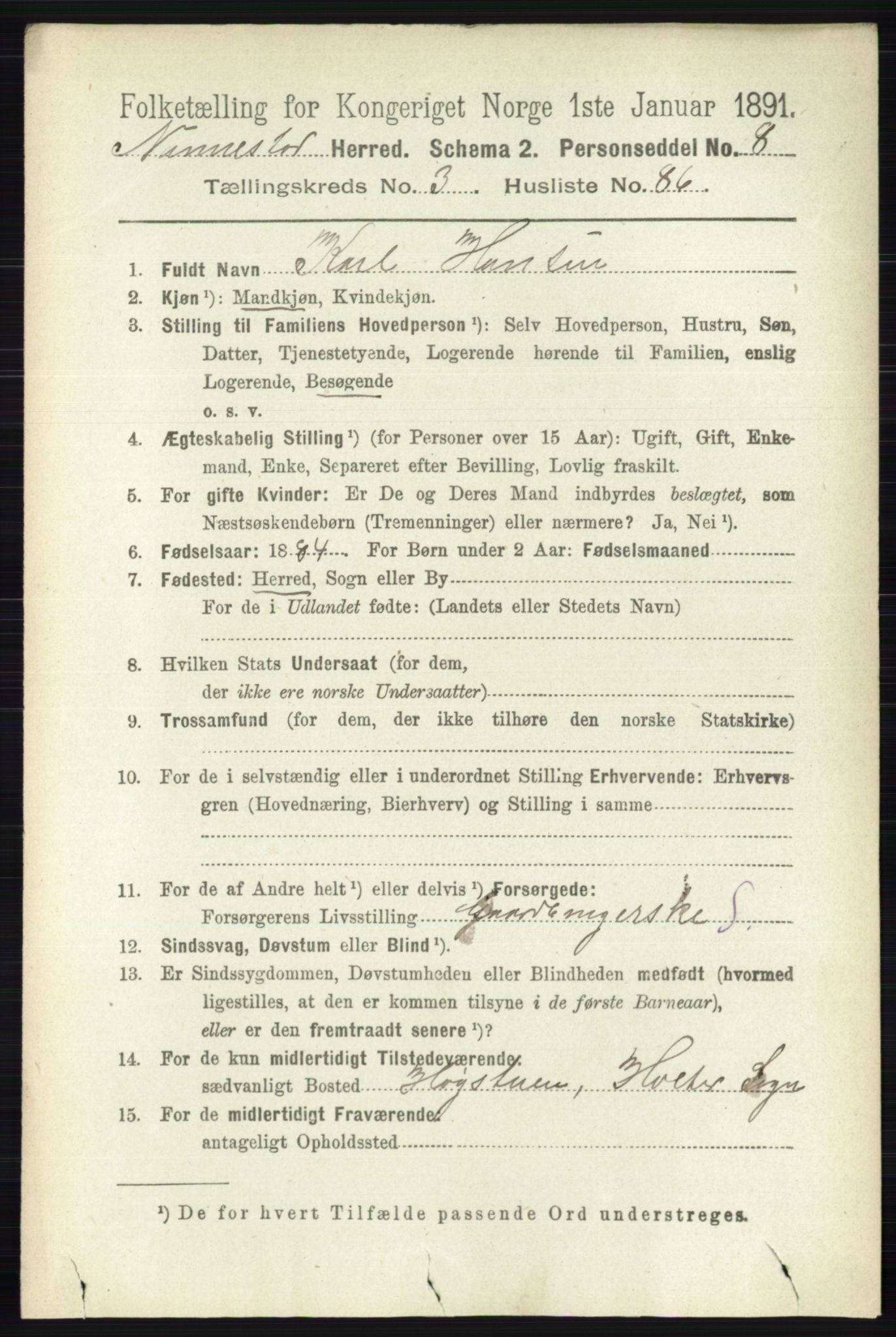 RA, 1891 census for 0238 Nannestad, 1891, p. 1964