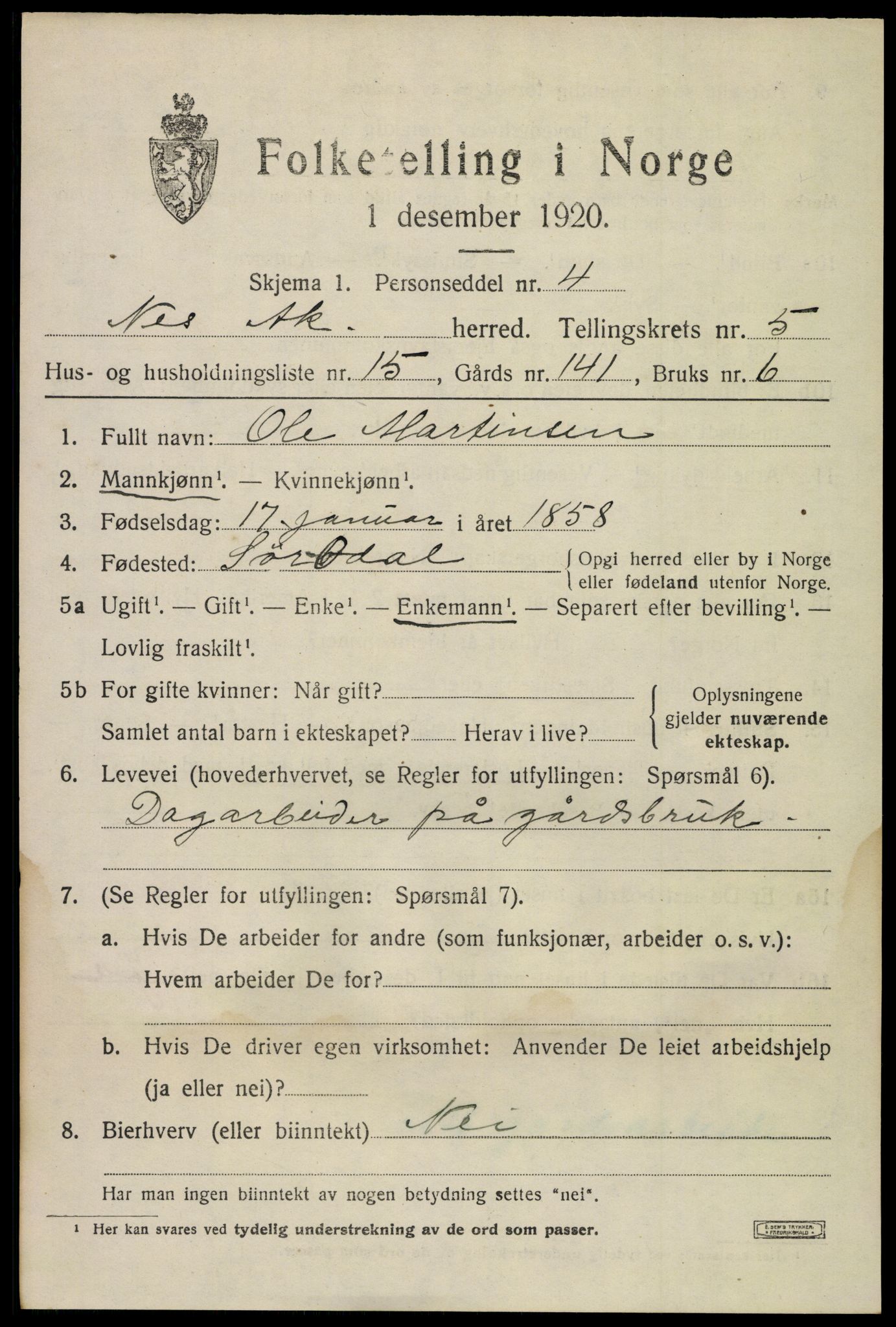 SAO, 1920 census for Nes, 1920, p. 6608