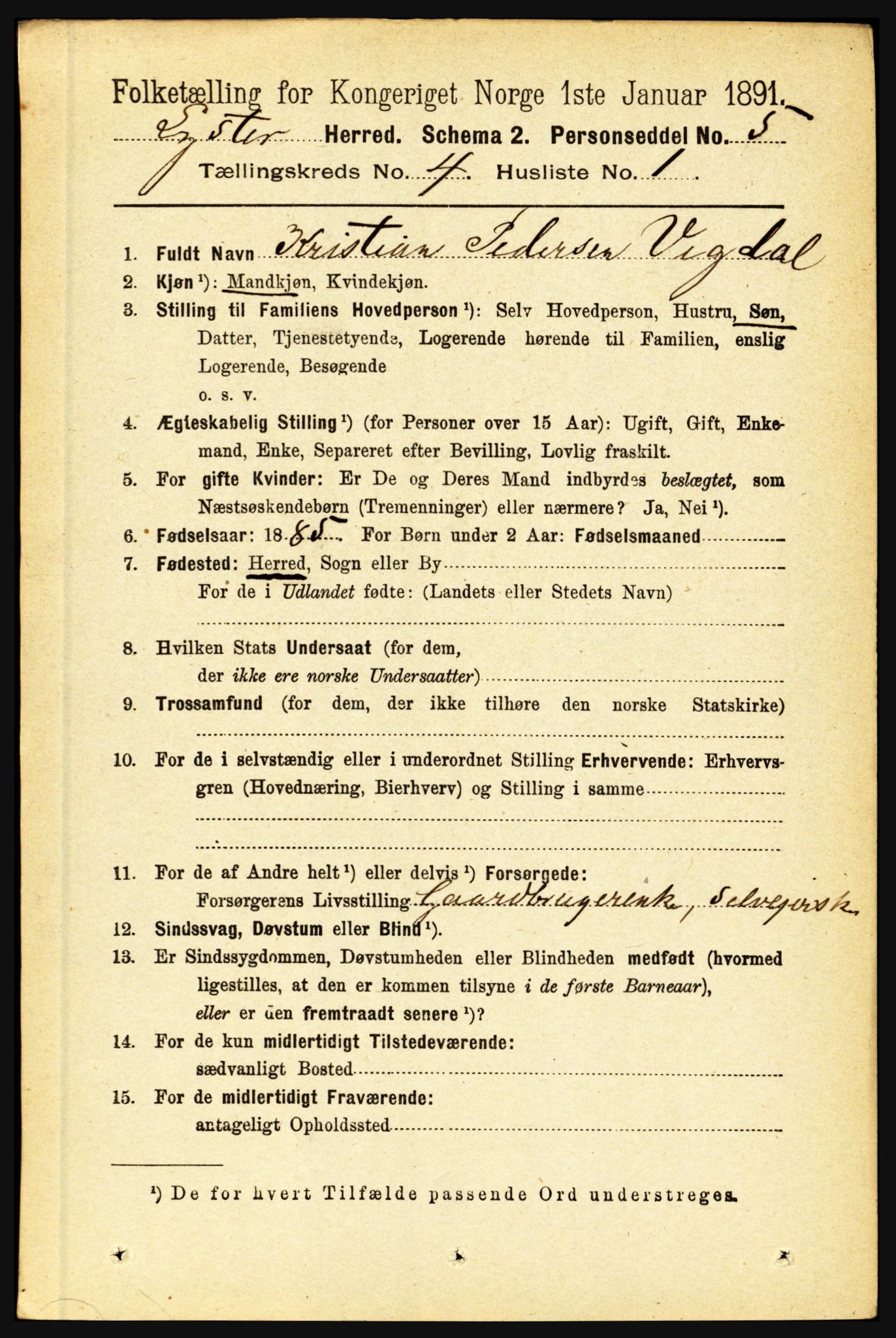 RA, 1891 census for 1426 Luster, 1891, p. 1423