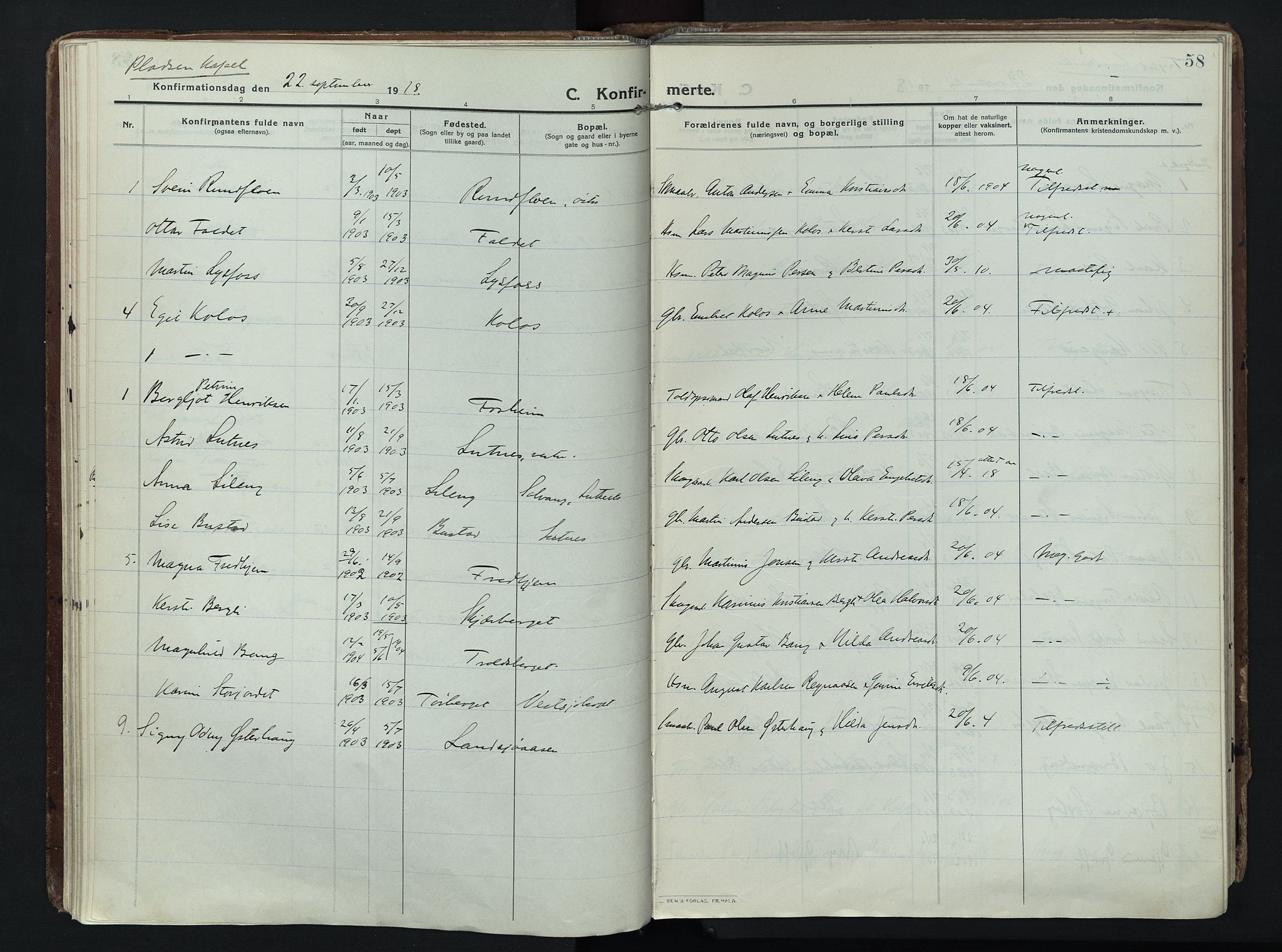 Trysil prestekontor, AV/SAH-PREST-046/H/Ha/Haa/L0014: Parish register (official) no. 14, 1912-1923, p. 58