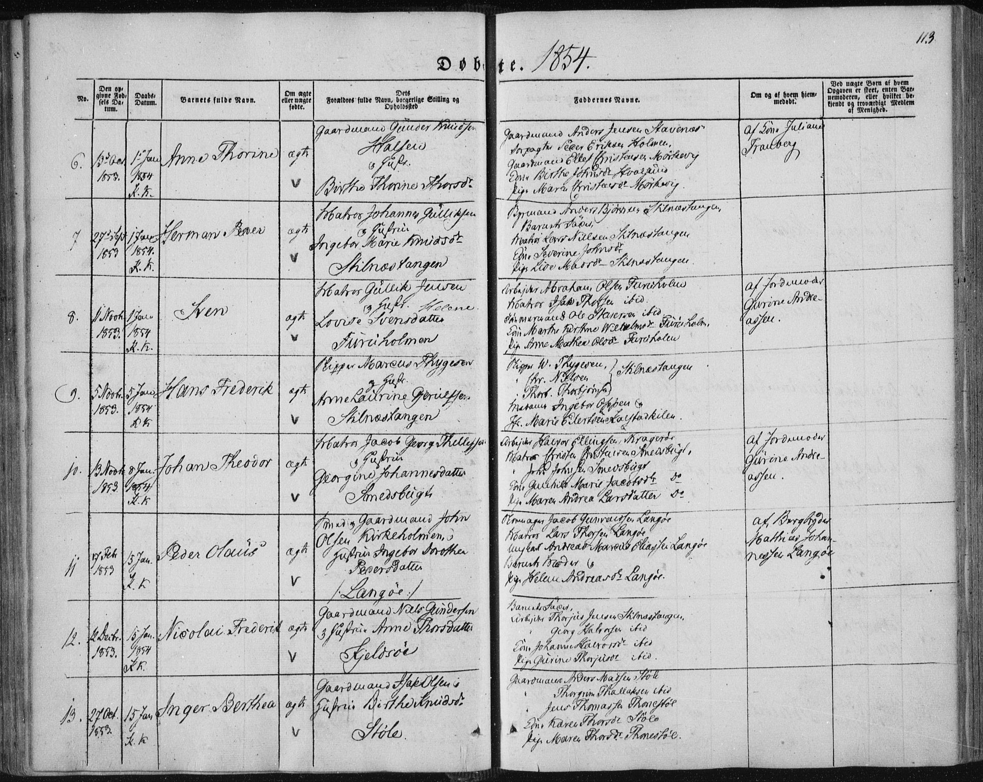 Sannidal kirkebøker, SAKO/A-296/F/Fa/L0008: Parish register (official) no. 8, 1847-1862, p. 113