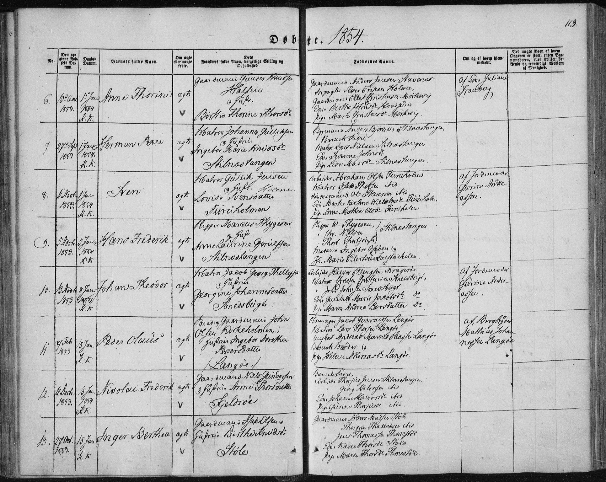 Sannidal kirkebøker, AV/SAKO-A-296/F/Fa/L0008: Parish register (official) no. 8, 1847-1862, p. 113