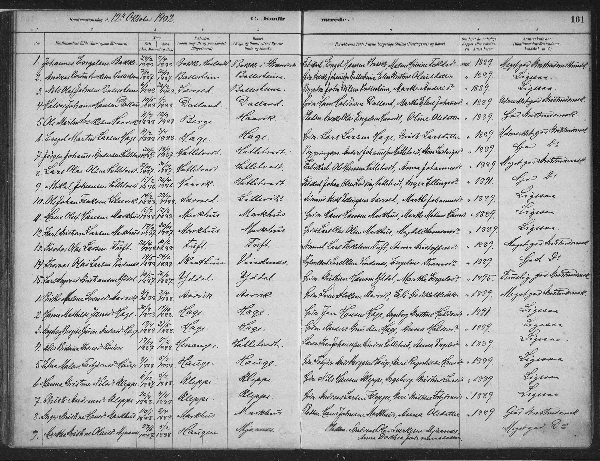 Fusa sokneprestembete, SAB/A-75401/H/Haa: Parish register (official) no. D 1, 1880-1938, p. 161