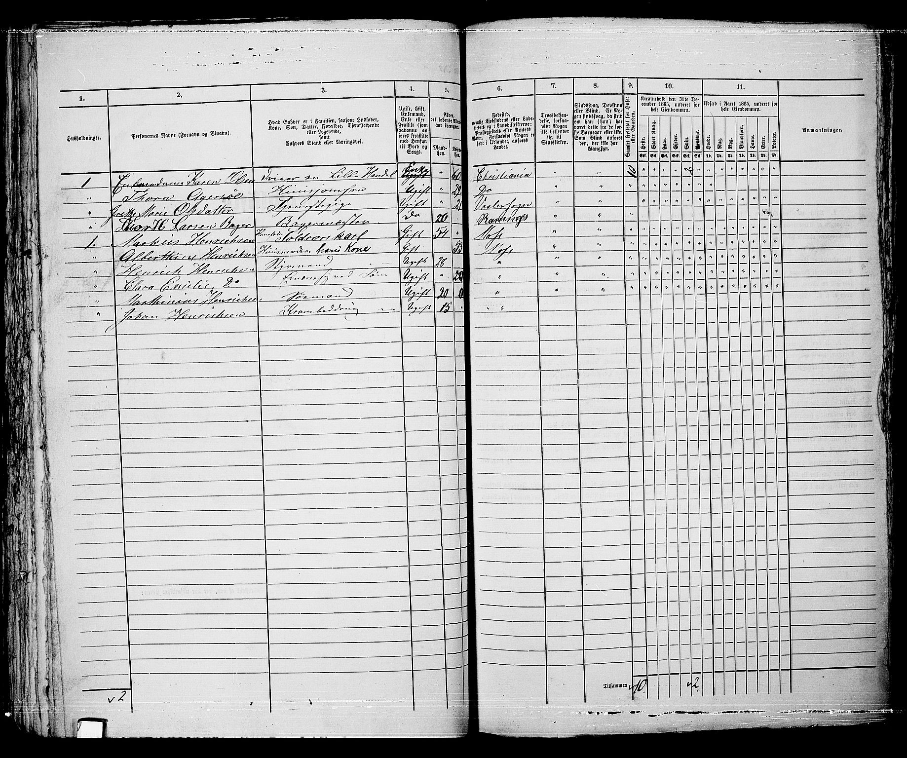 RA, 1865 census for Moss/Moss, 1865, p. 473