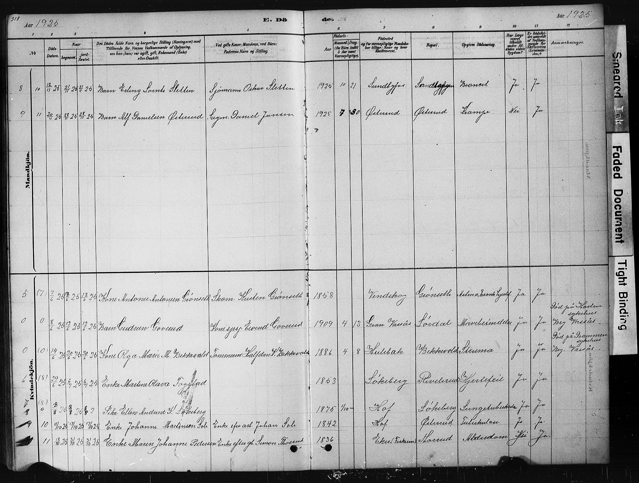 Hof kirkebøker, AV/SAKO-A-64/G/Ga/L0004: Parish register (copy) no. I 4, 1878-1930, p. 318