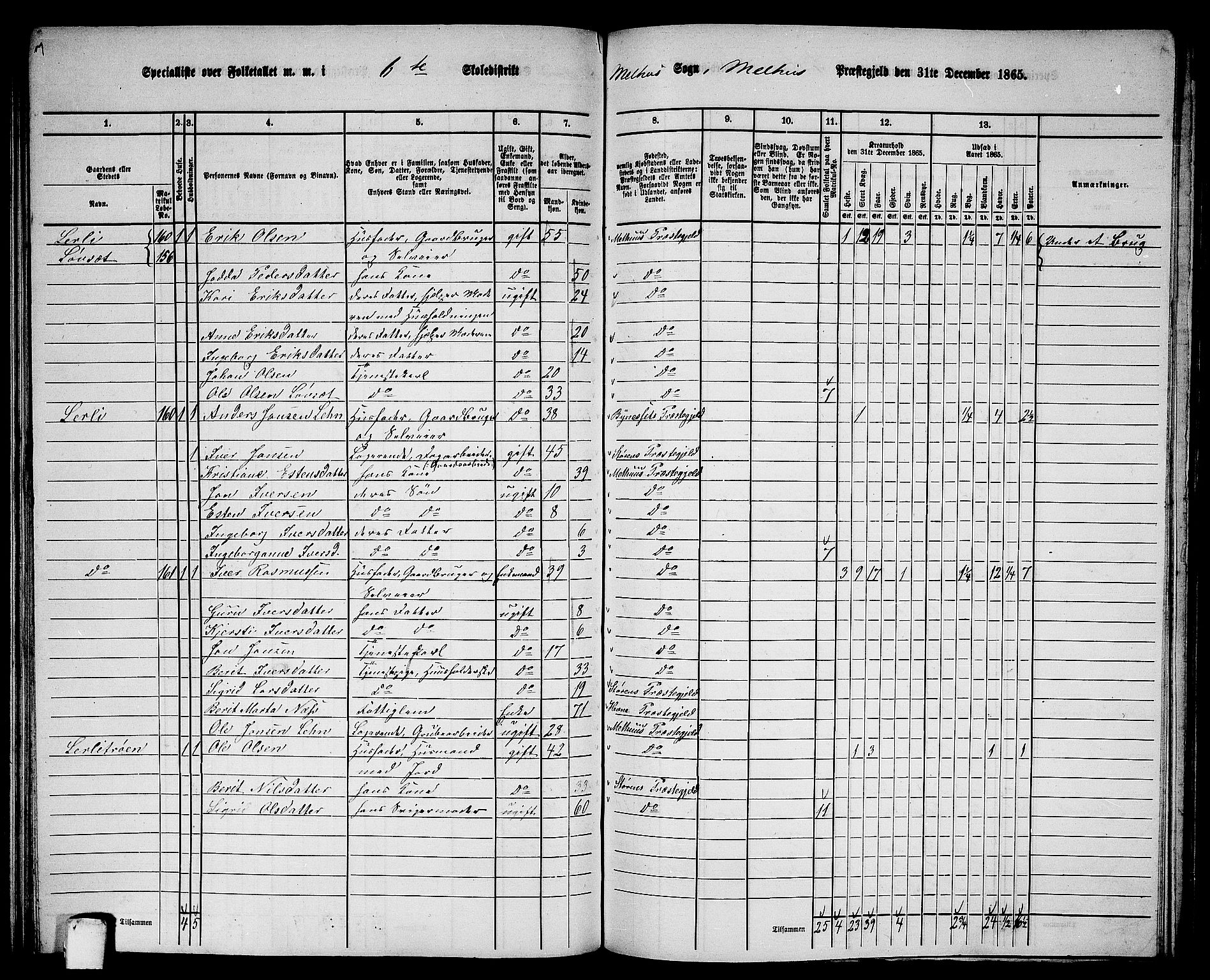 RA, 1865 census for Melhus, 1865, p. 116