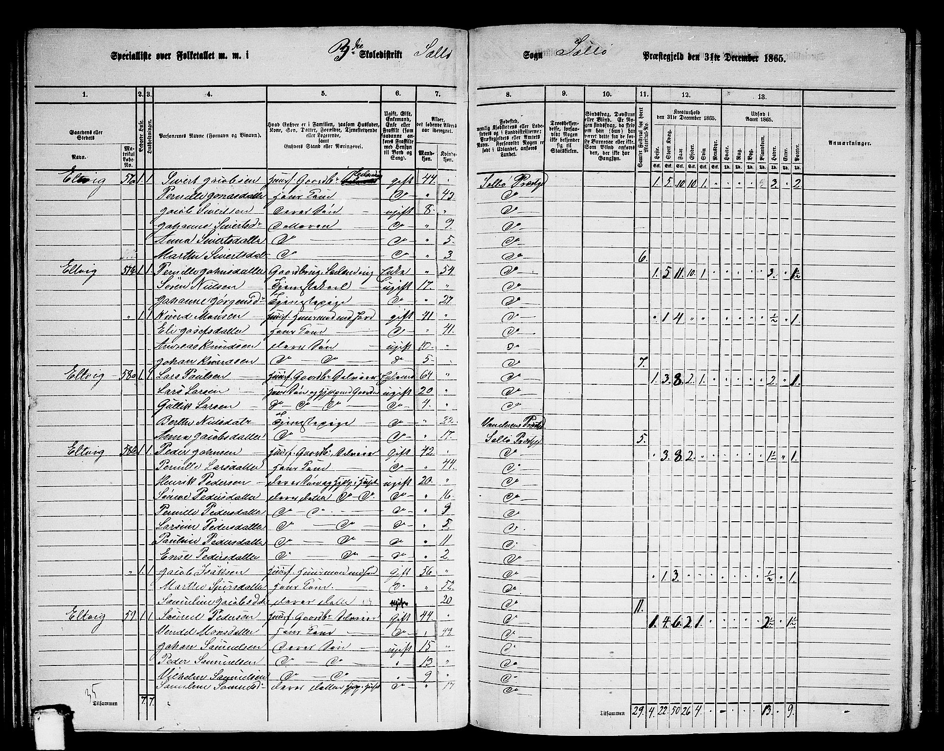 RA, 1865 census for Selje, 1865, p. 52