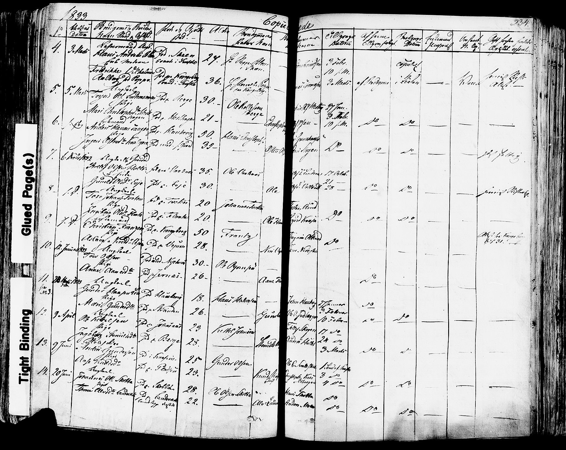 Sauherad kirkebøker, SAKO/A-298/F/Fa/L0006: Parish register (official) no. I 6, 1827-1850, p. 234