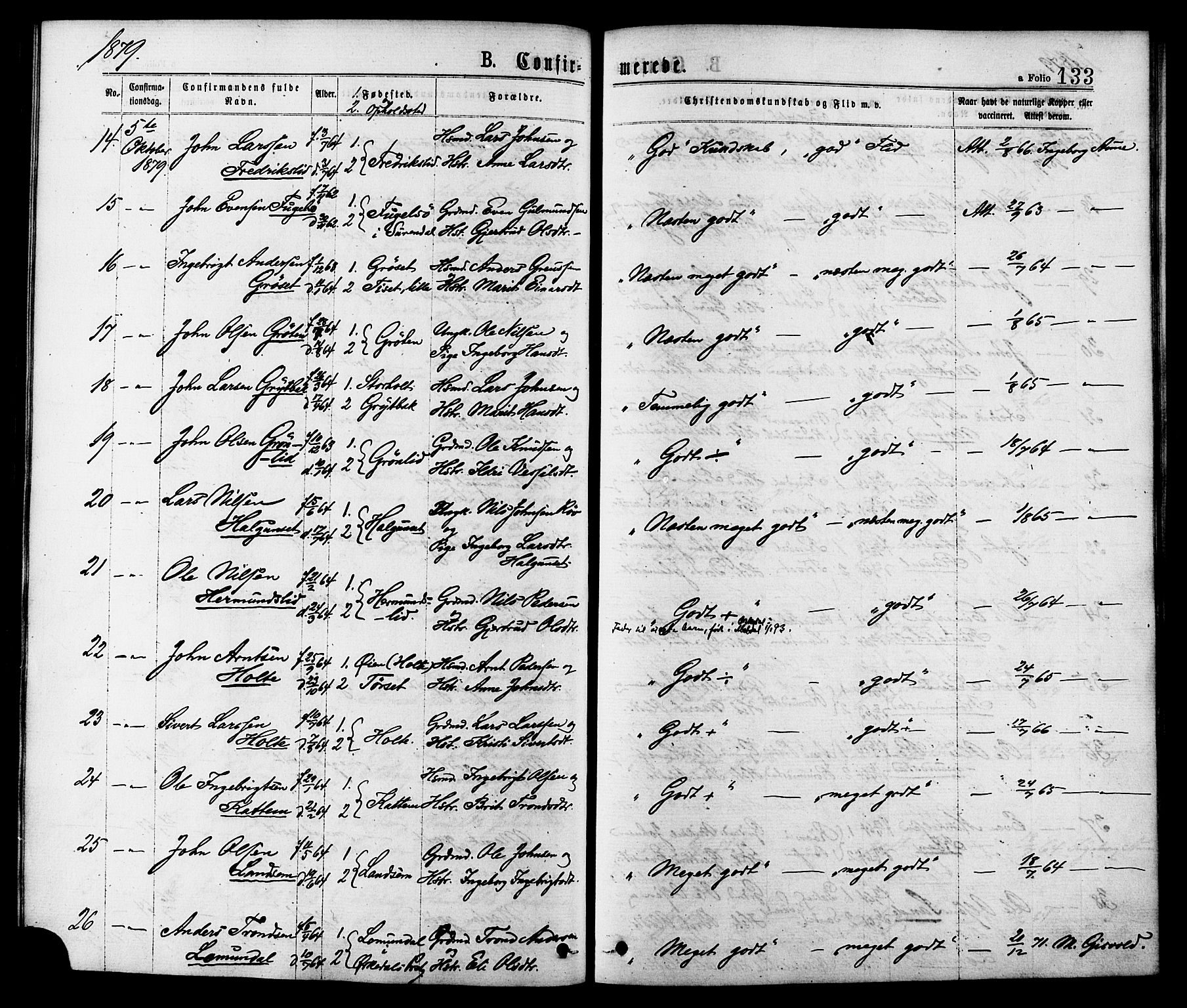 Ministerialprotokoller, klokkerbøker og fødselsregistre - Møre og Romsdal, AV/SAT-A-1454/598/L1068: Parish register (official) no. 598A02, 1872-1881, p. 133