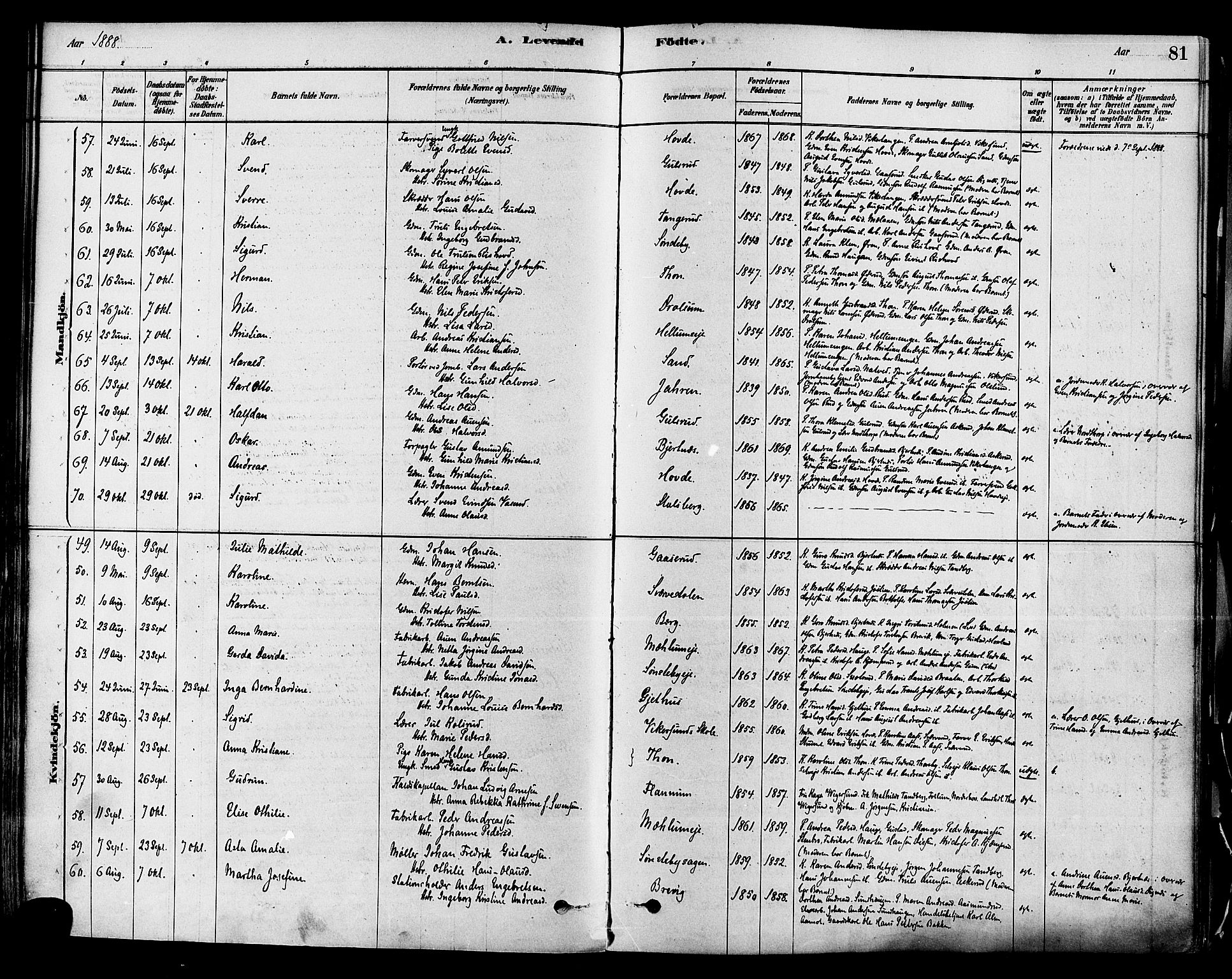 Modum kirkebøker, SAKO/A-234/F/Fa/L0011: Parish register (official) no. 11, 1877-1889, p. 81