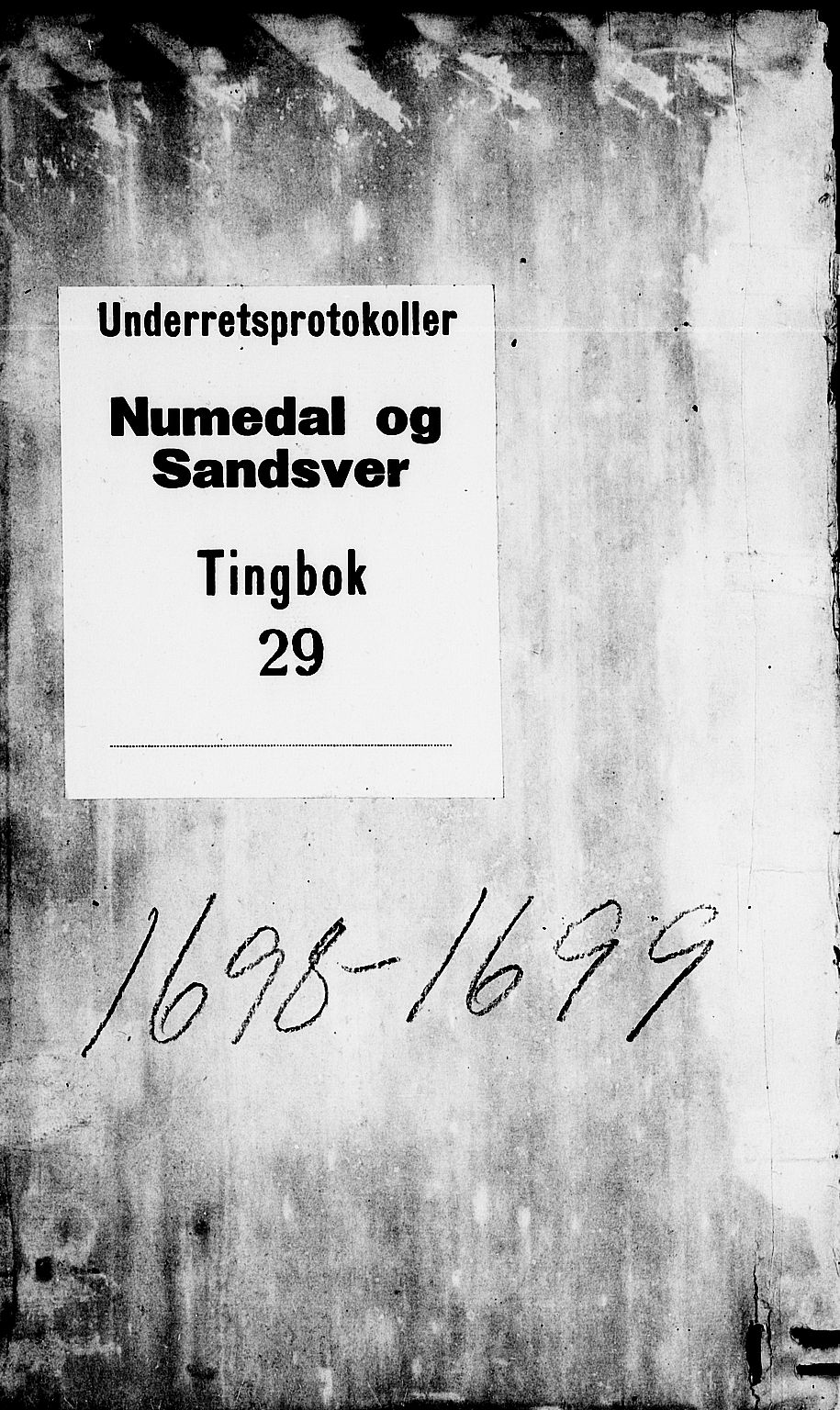 Numedal og Sandsvær sorenskriveri, SAKO/A-128/F/Fa/Faa/L0029: Tingbøker, 1698-1699