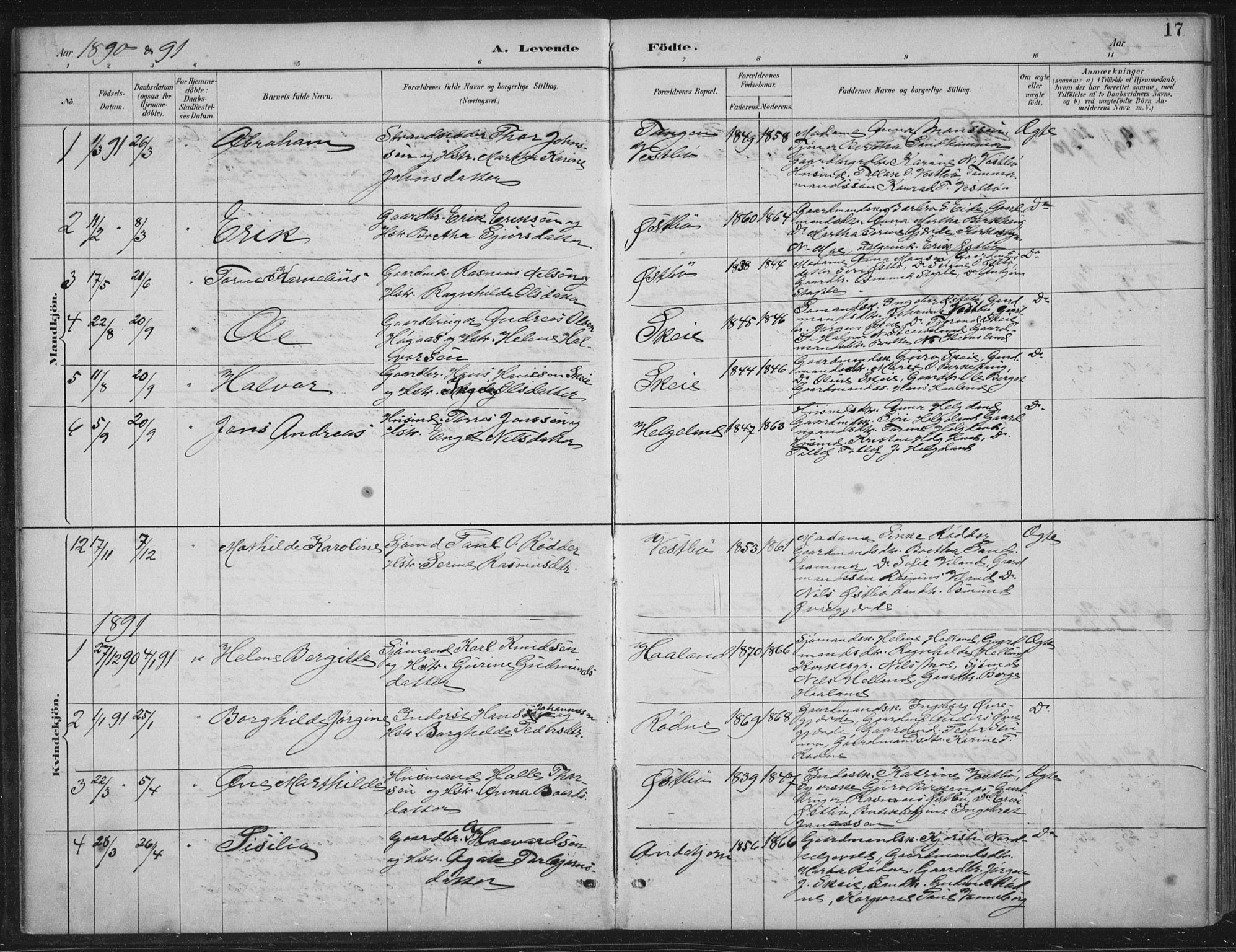 Vikedal sokneprestkontor, AV/SAST-A-101840/01/IV: Parish register (official) no. A 11, 1884-1933, p. 17