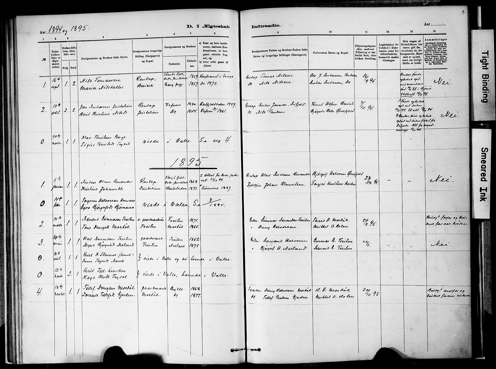 Valle sokneprestkontor, SAK/1111-0044/F/Fa/Faa/L0001: Parish register (official) no. A 1, 1882-1907, p. 91