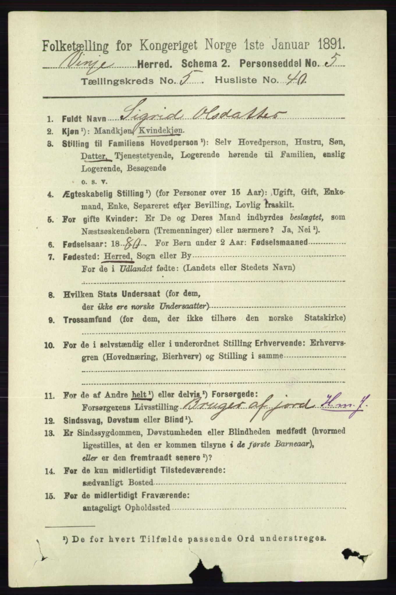 RA, 1891 census for 0834 Vinje, 1891, p. 1353