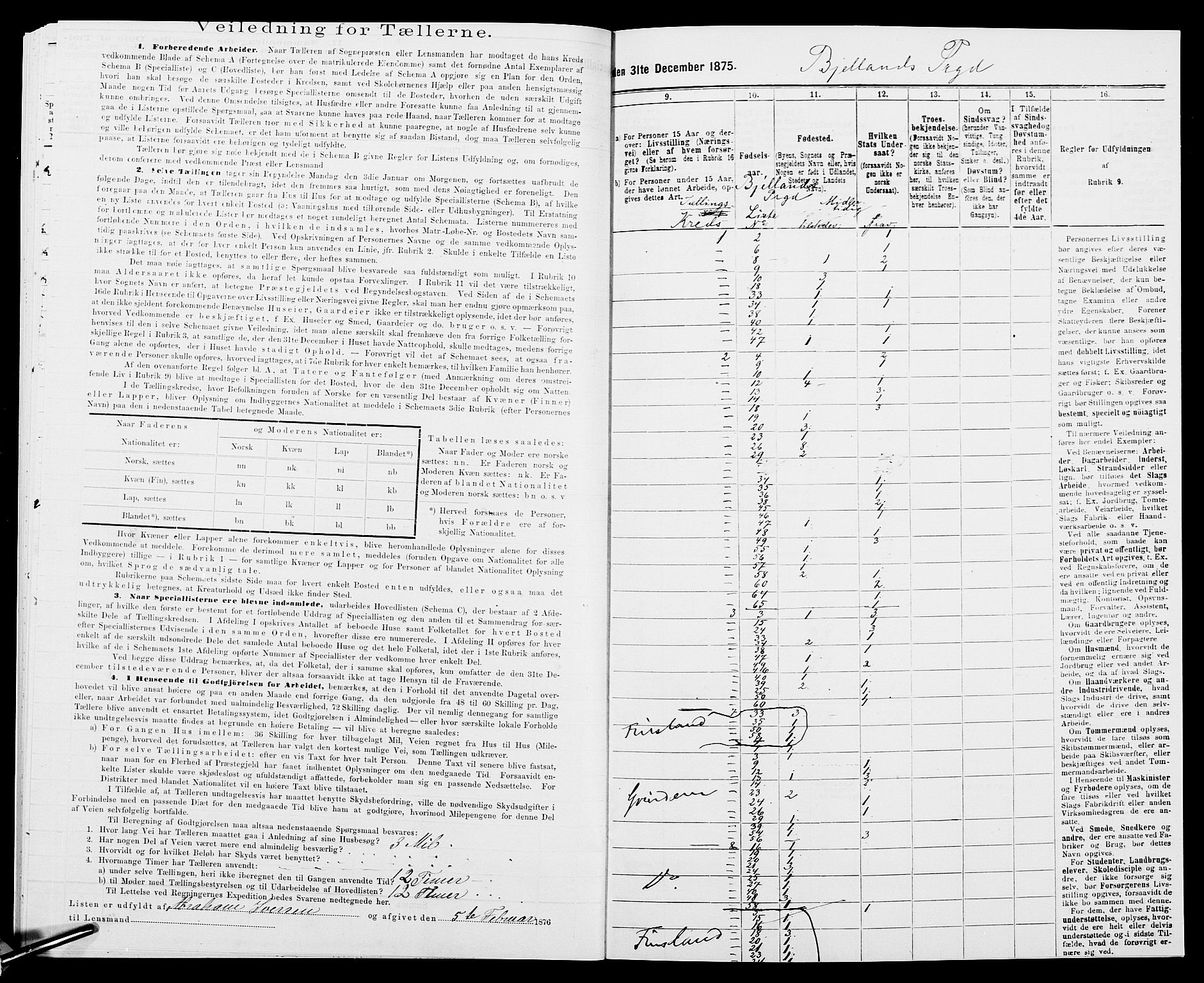 SAK, 1875 census for 1024P Bjelland, 1875, p. 30
