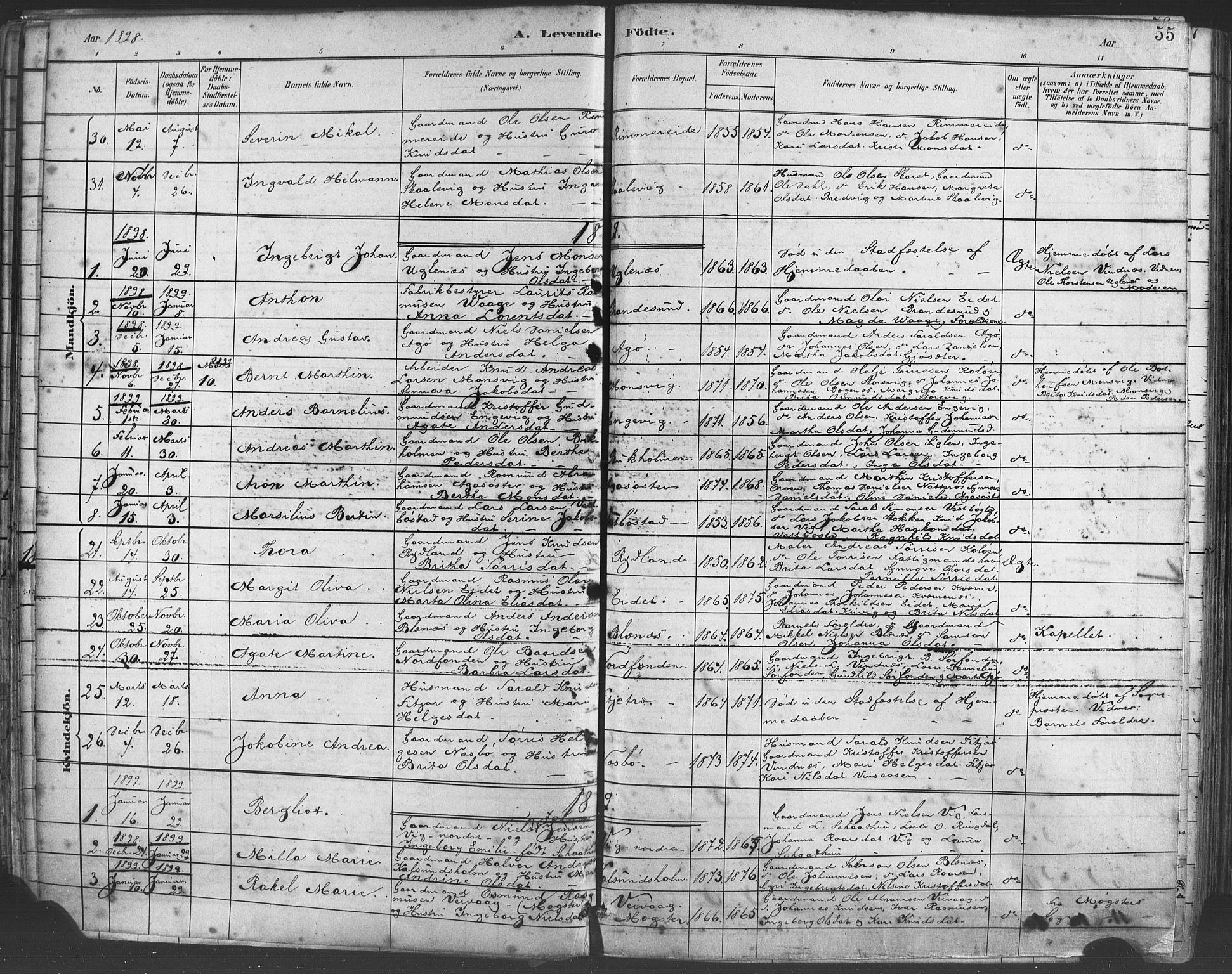 Fitjar sokneprestembete, SAB/A-99926: Parish register (official) no. A 2, 1882-1899, p. 55