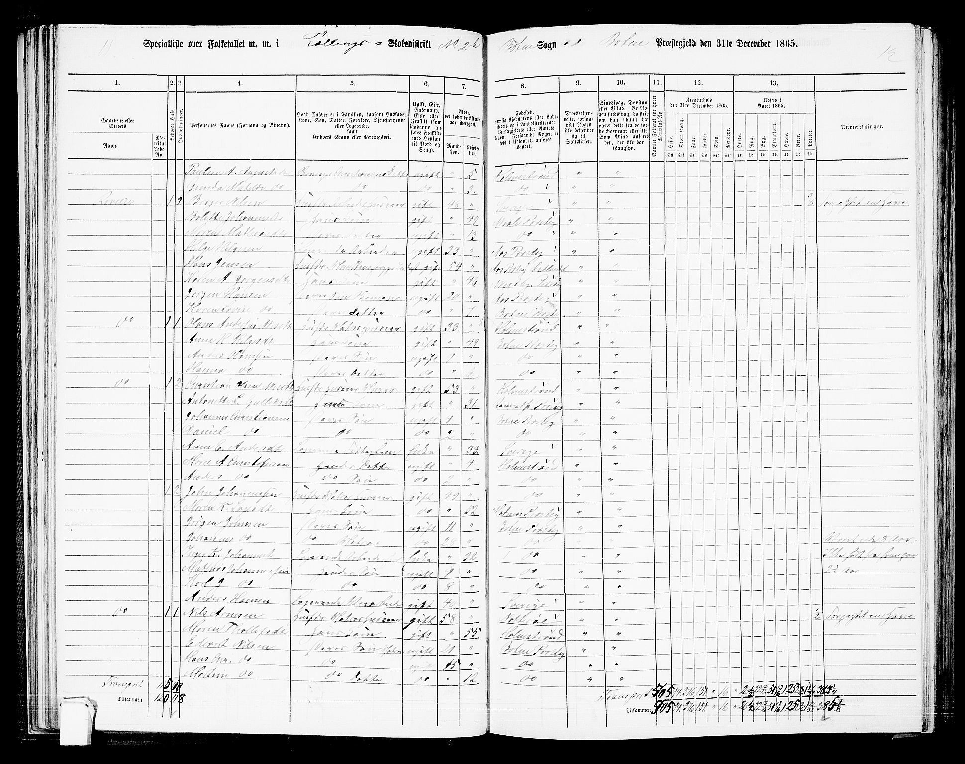 RA, 1865 census for Botne/Botne og Hillestad, 1865, p. 52