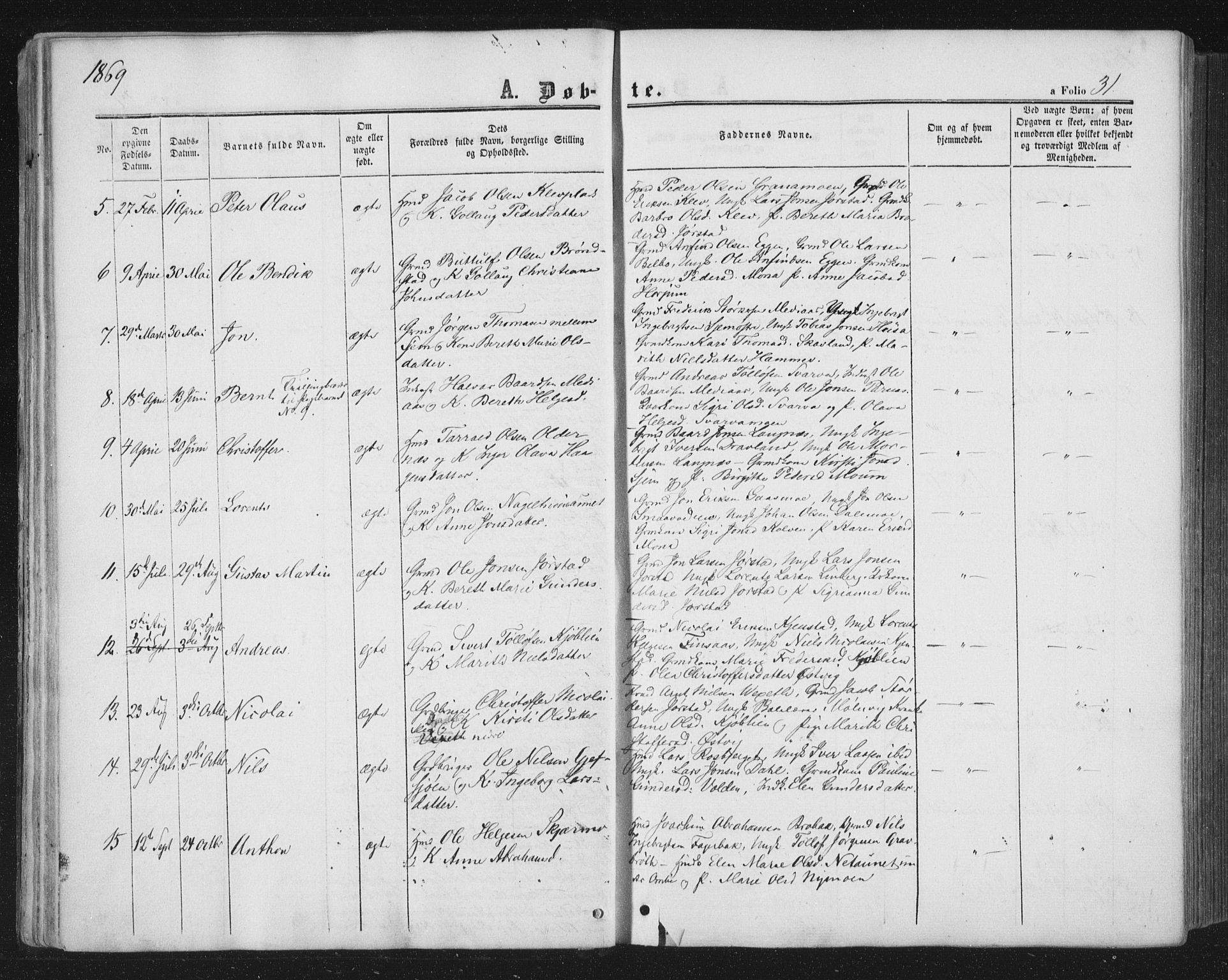 Ministerialprotokoller, klokkerbøker og fødselsregistre - Nord-Trøndelag, AV/SAT-A-1458/749/L0472: Parish register (official) no. 749A06, 1857-1873, p. 31