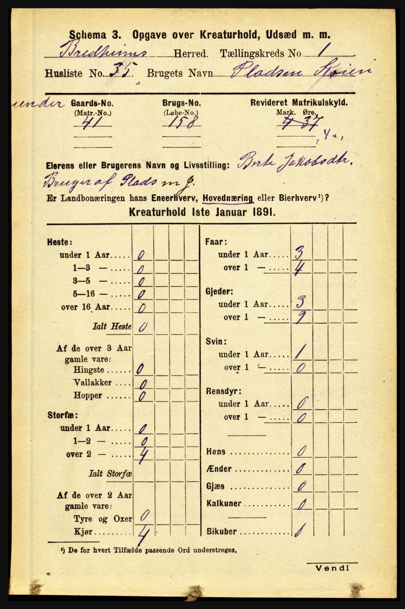 RA, 1891 census for 1446 Breim, 1891, p. 2400