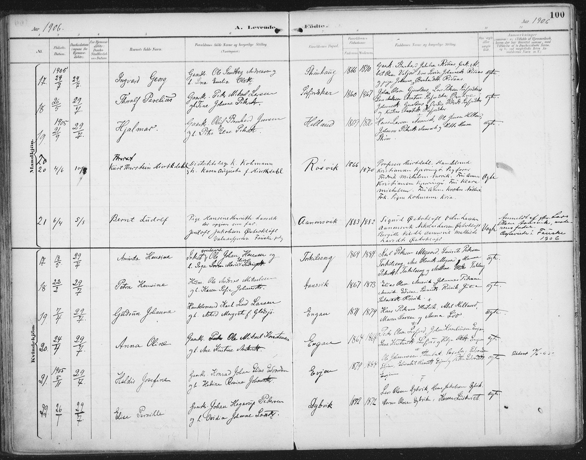 Ministerialprotokoller, klokkerbøker og fødselsregistre - Nordland, AV/SAT-A-1459/854/L0779: Parish register (official) no. 854A02, 1892-1909, p. 100