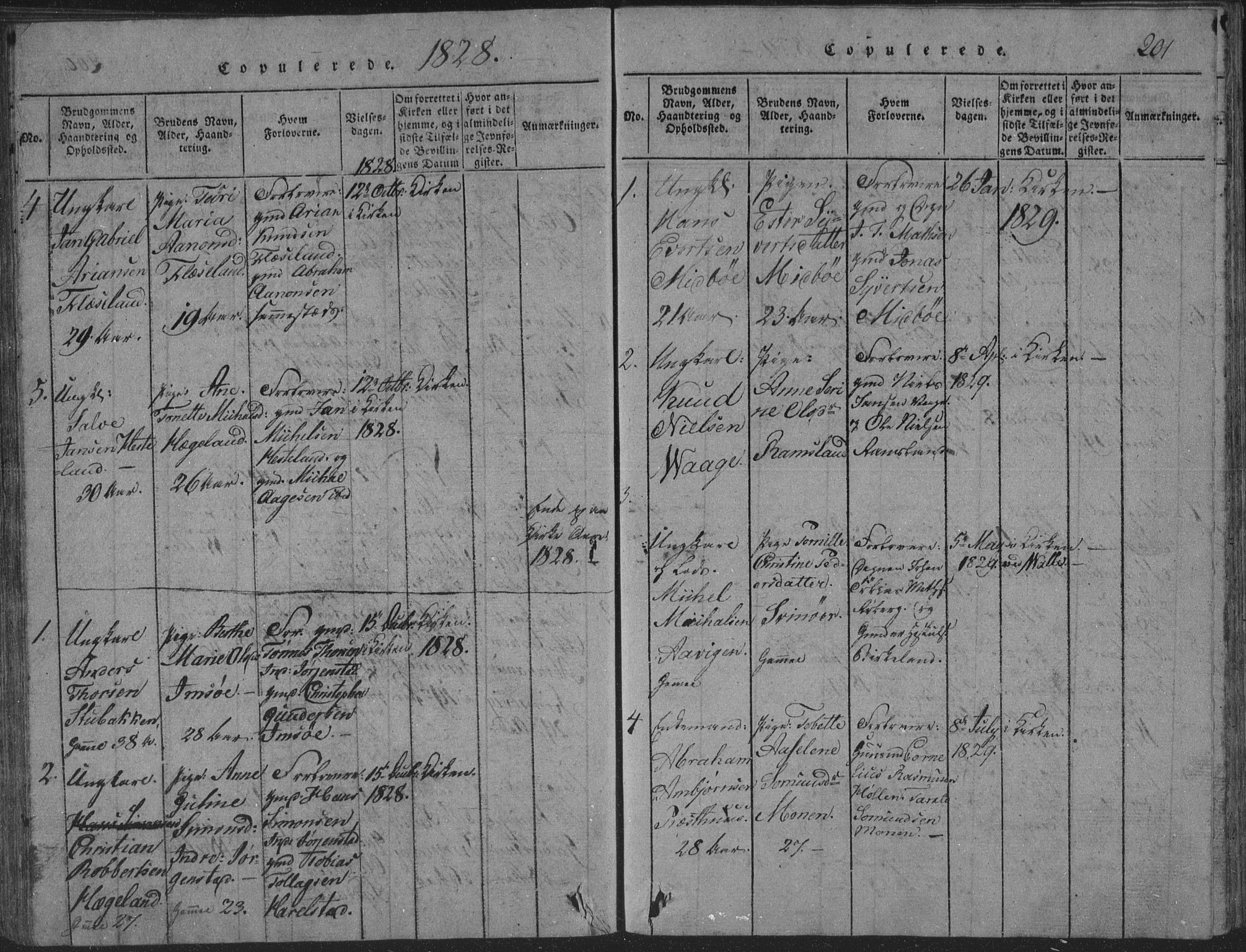 Sør-Audnedal sokneprestkontor, AV/SAK-1111-0039/F/Fb/Fba/L0001: Parish register (copy) no. B 1, 1815-1850, p. 201