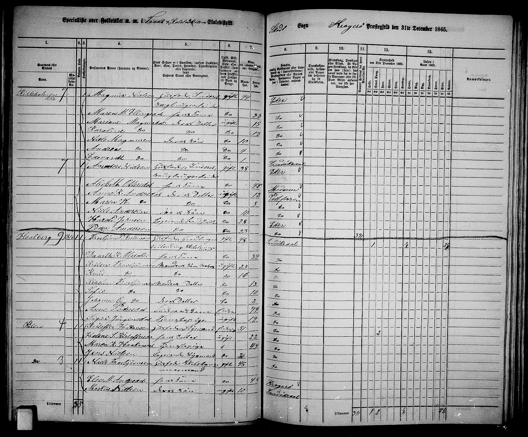 RA, 1865 census for Kragerø/Sannidal og Skåtøy, 1865, p. 144