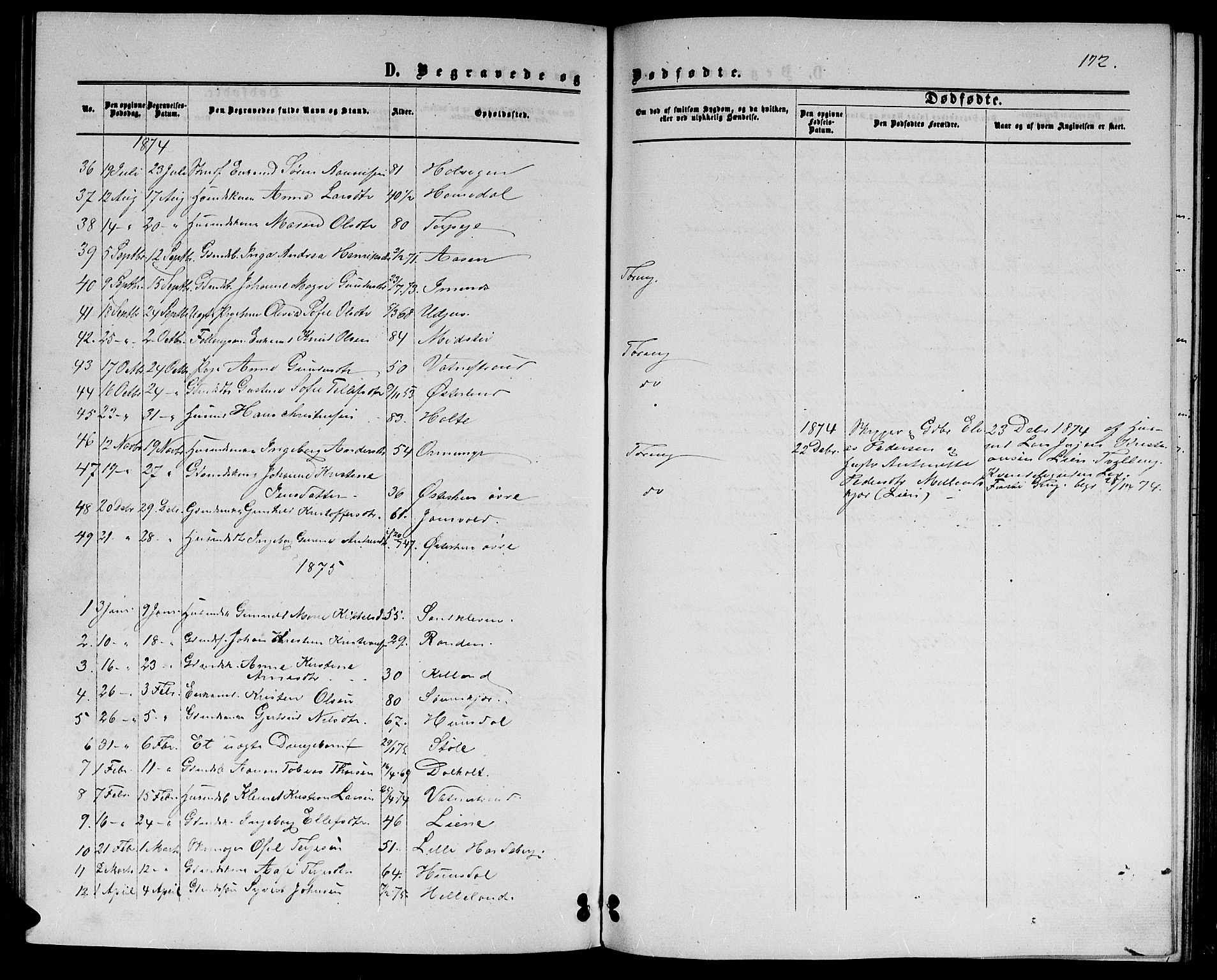 Hommedal sokneprestkontor, SAK/1111-0023/F/Fb/Fbb/L0006: Parish register (copy) no. B 6, 1869-1884, p. 172