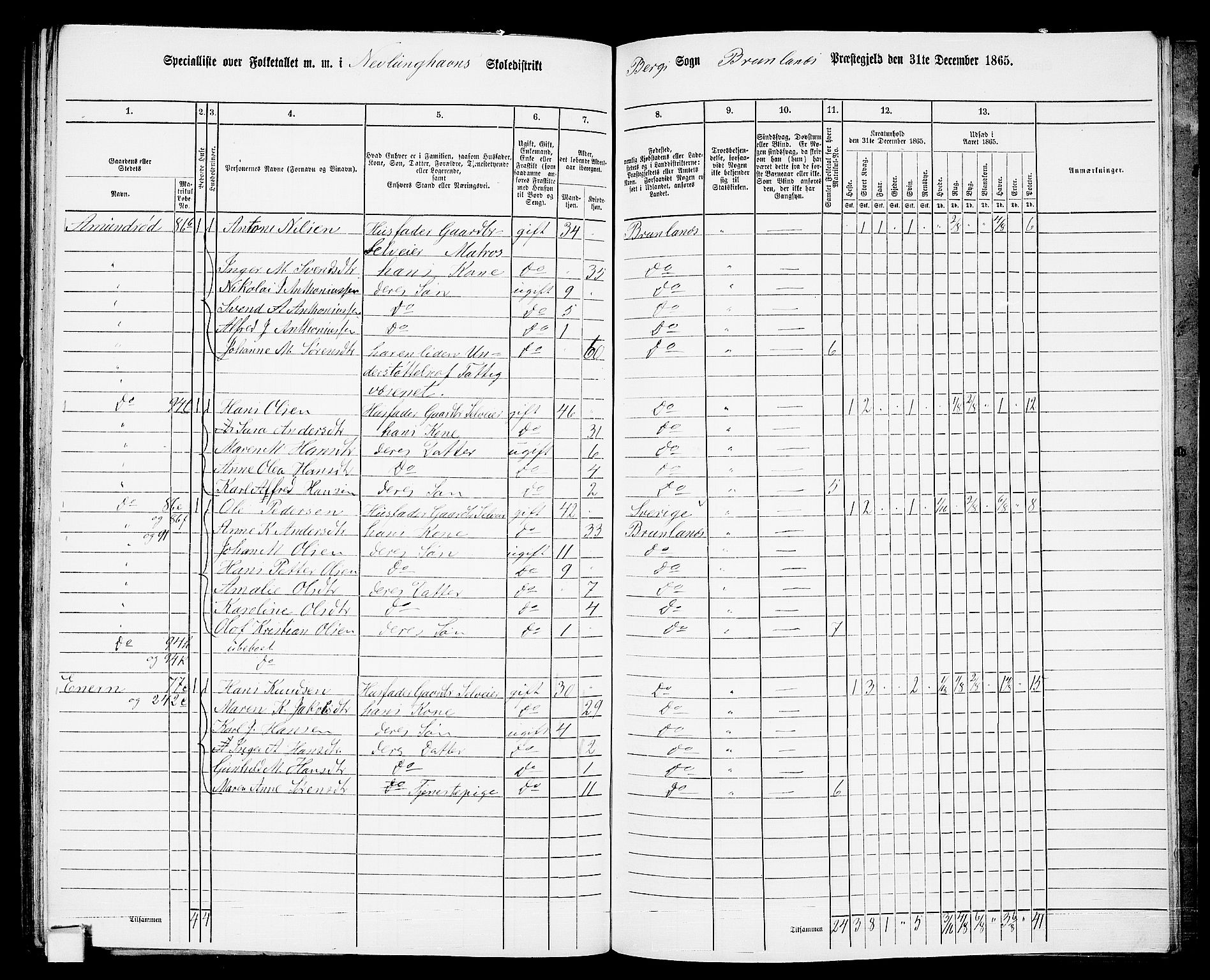 RA, 1865 census for Brunlanes, 1865, p. 155