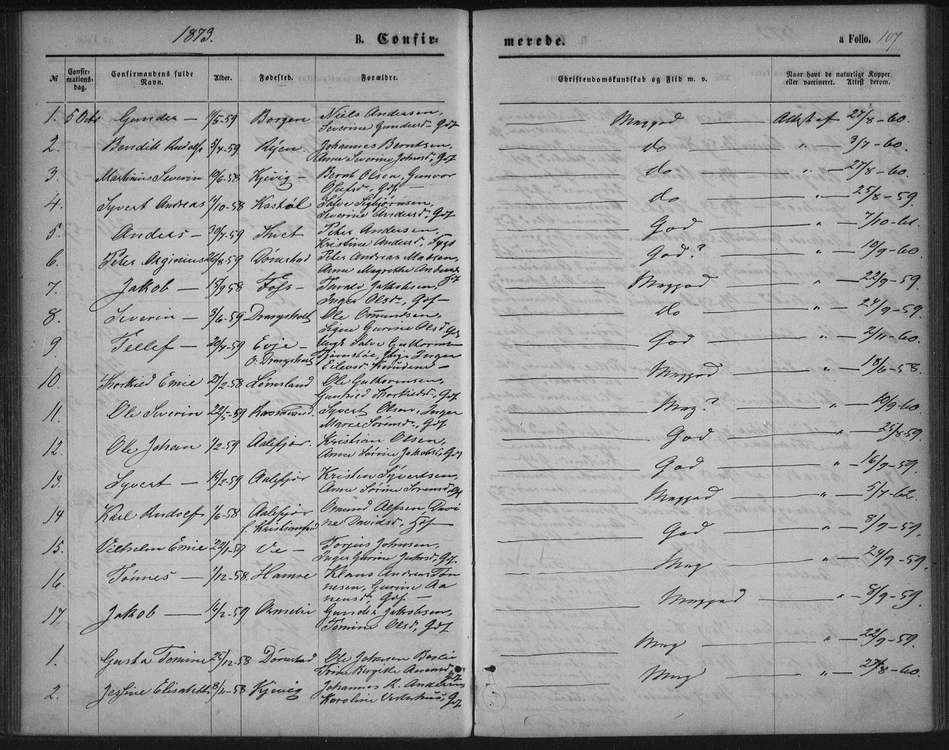 Tveit sokneprestkontor, SAK/1111-0043/F/Fa/L0006: Parish register (official) no. A 6, 1872-1886, p. 107