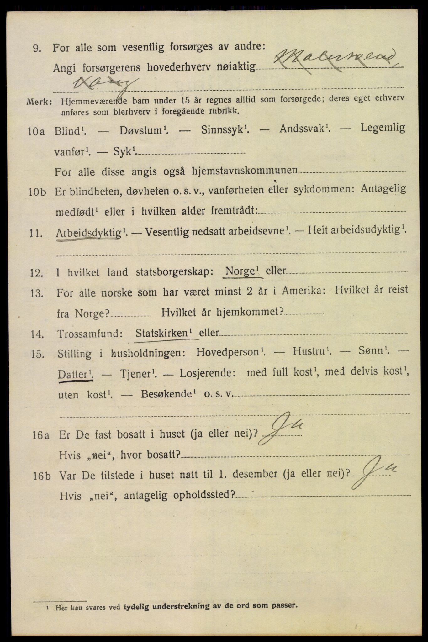 SAH, 1920 census for Vang (Hedmark), 1920, p. 15026