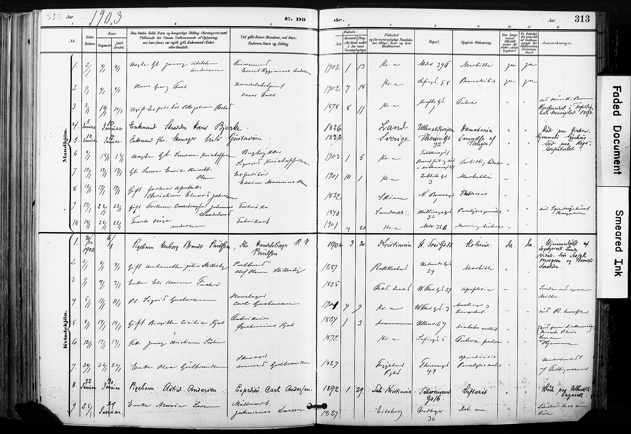 Gamle Aker prestekontor Kirkebøker, SAO/A-10617a/F/L0013: Parish register (official) no. 13, 1901-1908, p. 313