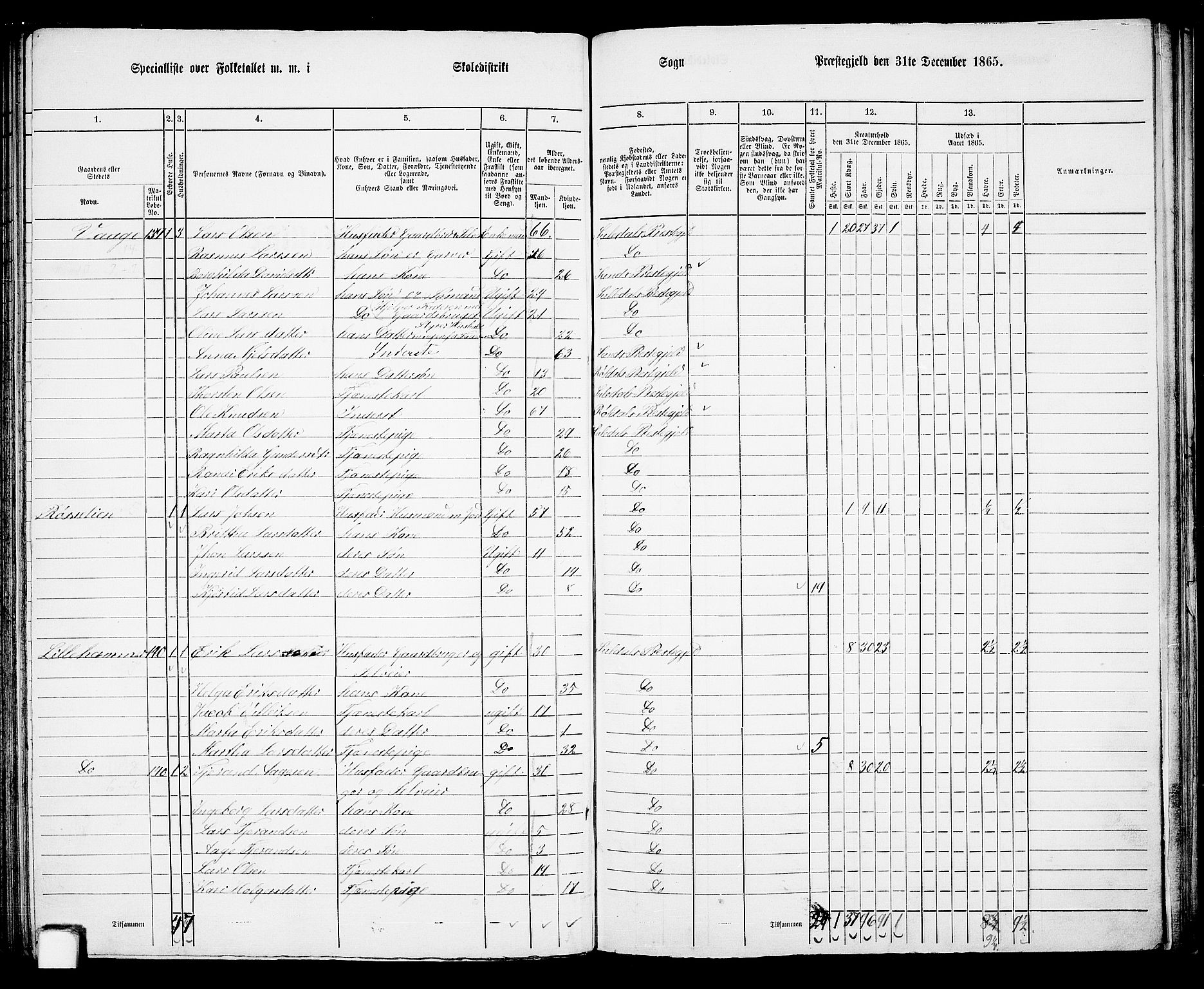 RA, 1865 census for Suldal, 1865, p. 87