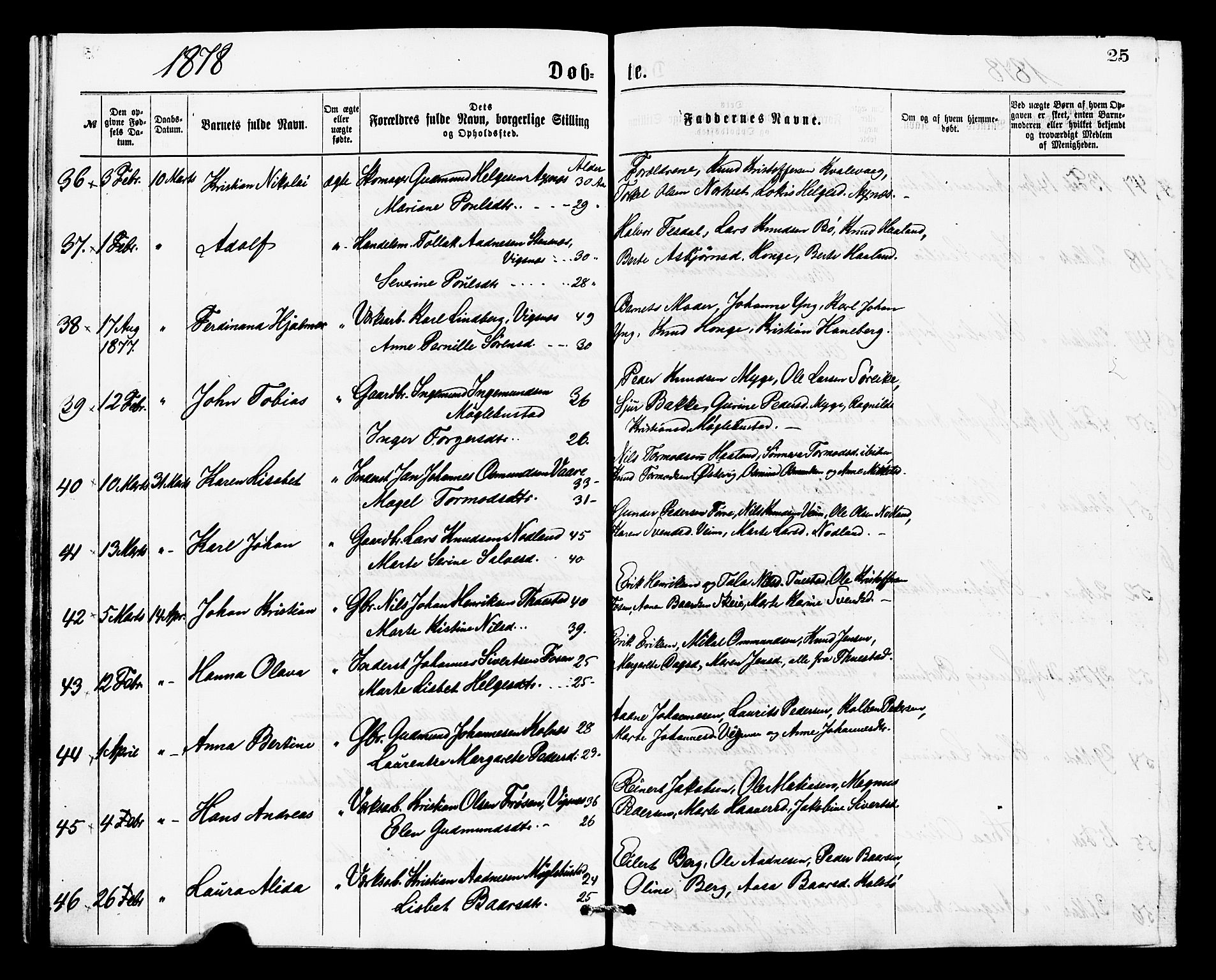 Avaldsnes sokneprestkontor, AV/SAST-A -101851/H/Ha/Haa/L0013: Parish register (official) no. A 13, 1876-1879, p. 25