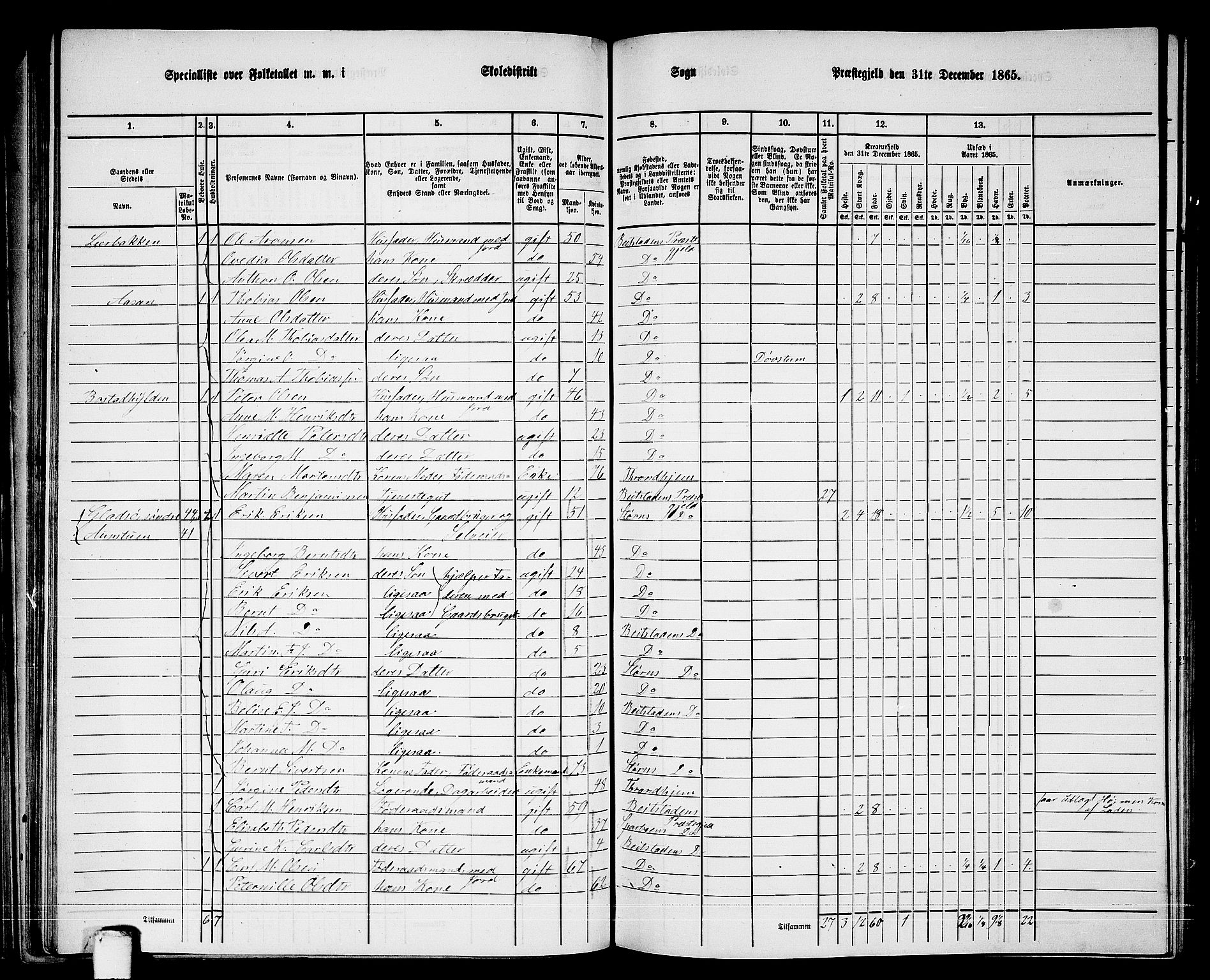 RA, 1865 census for Beitstad, 1865, p. 62