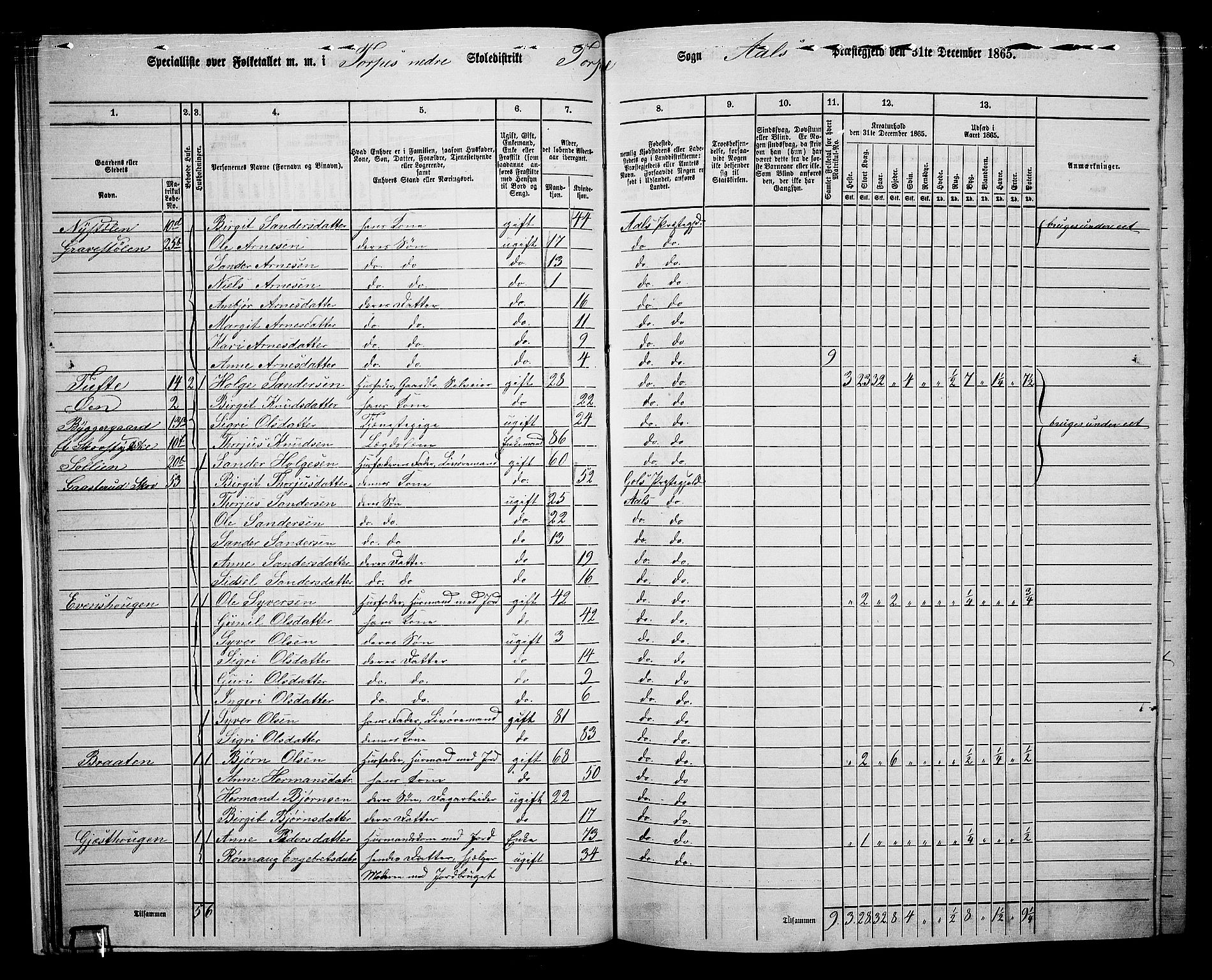 RA, 1865 census for Ål, 1865, p. 28