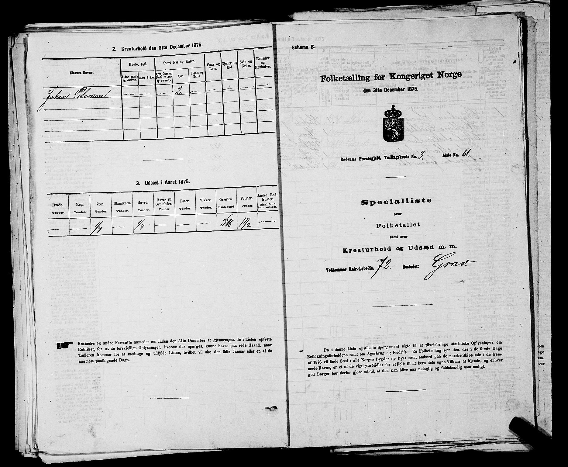 RA, 1875 census for 0120P Rødenes, 1875, p. 484