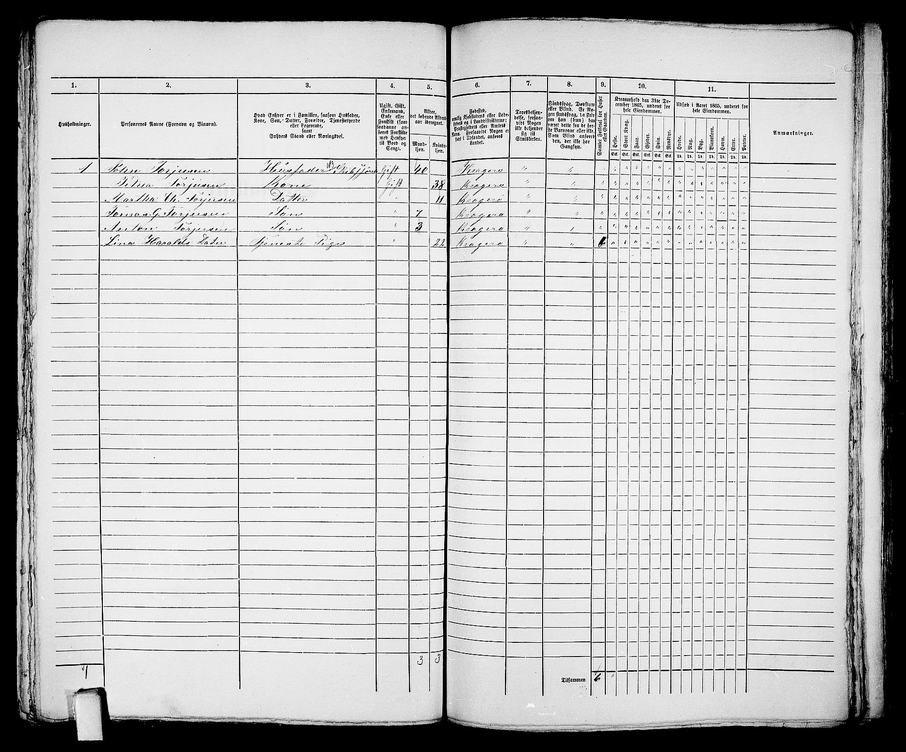 RA, 1865 census for Kragerø/Kragerø, 1865, p. 413