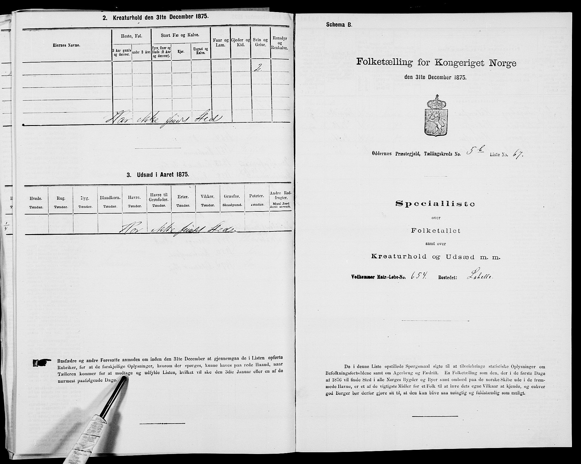SAK, 1875 census for 1012P Oddernes, 1875, p. 980