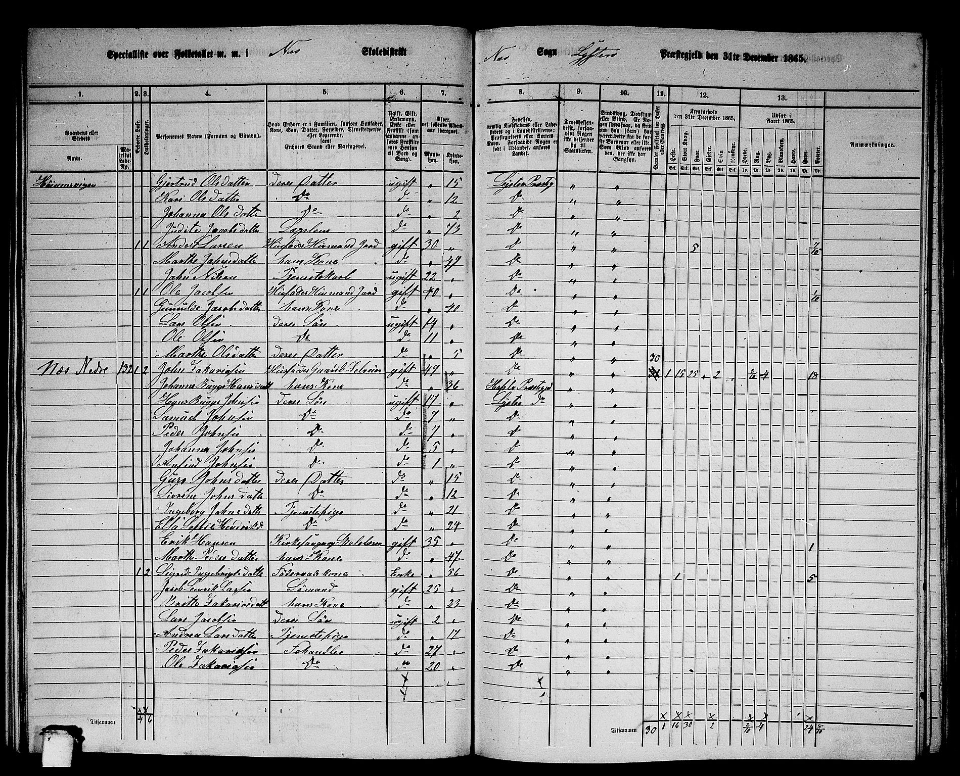 RA, 1865 census for Luster, 1865, p. 120