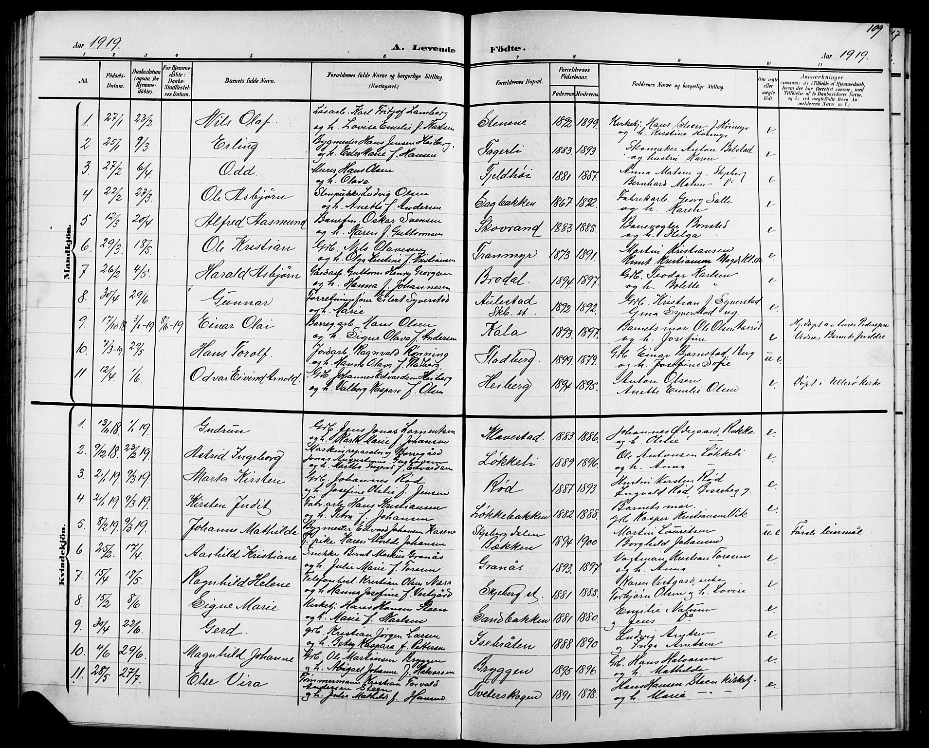 Skjeberg prestekontor Kirkebøker, SAO/A-10923/G/Ga/L0002: Parish register (copy) no. I 2, 1901-1924, p. 109